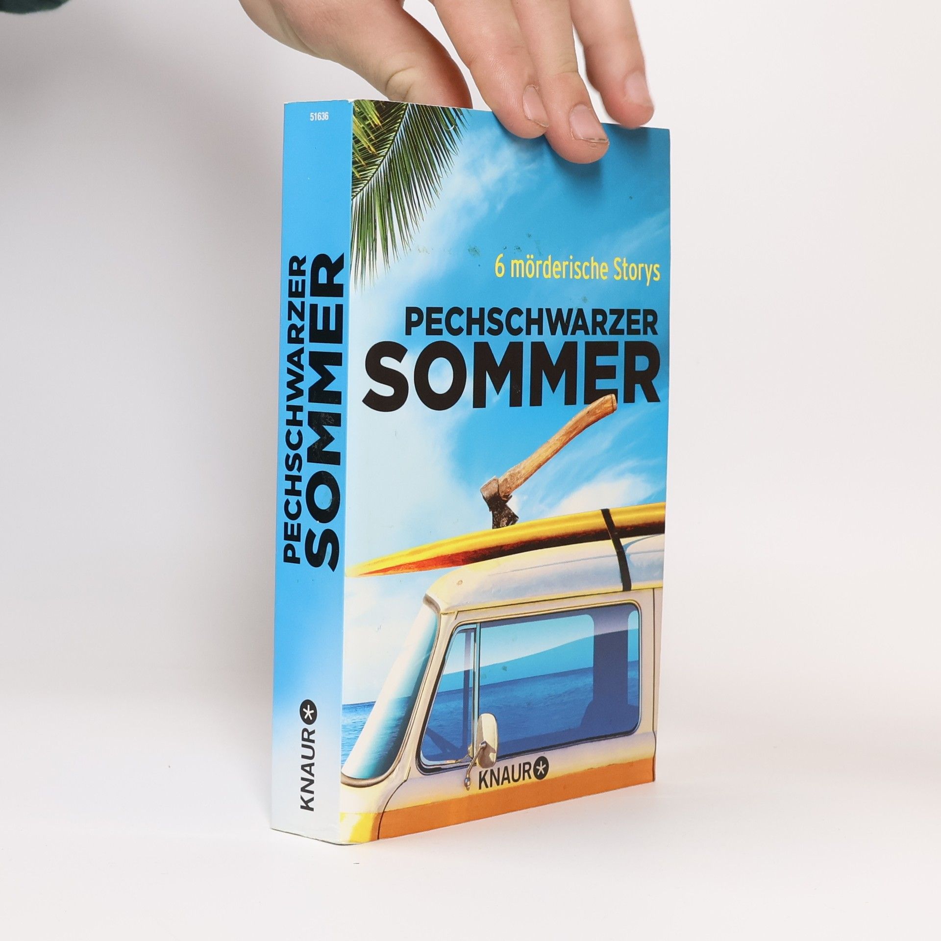 Daniela Röll Pechschwarzer Sommer