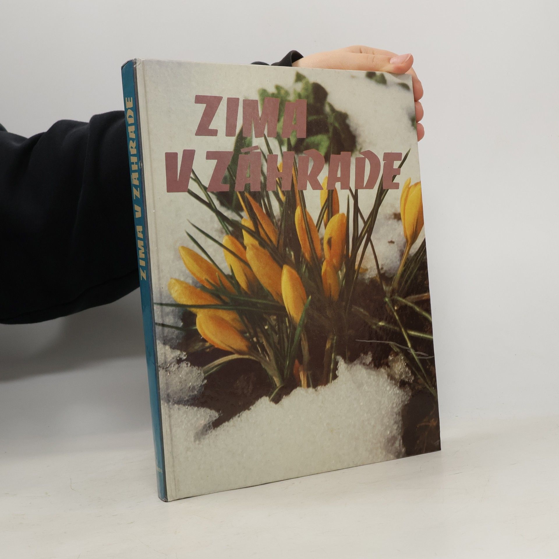 Katarína Šafáriková Zima v záhrade