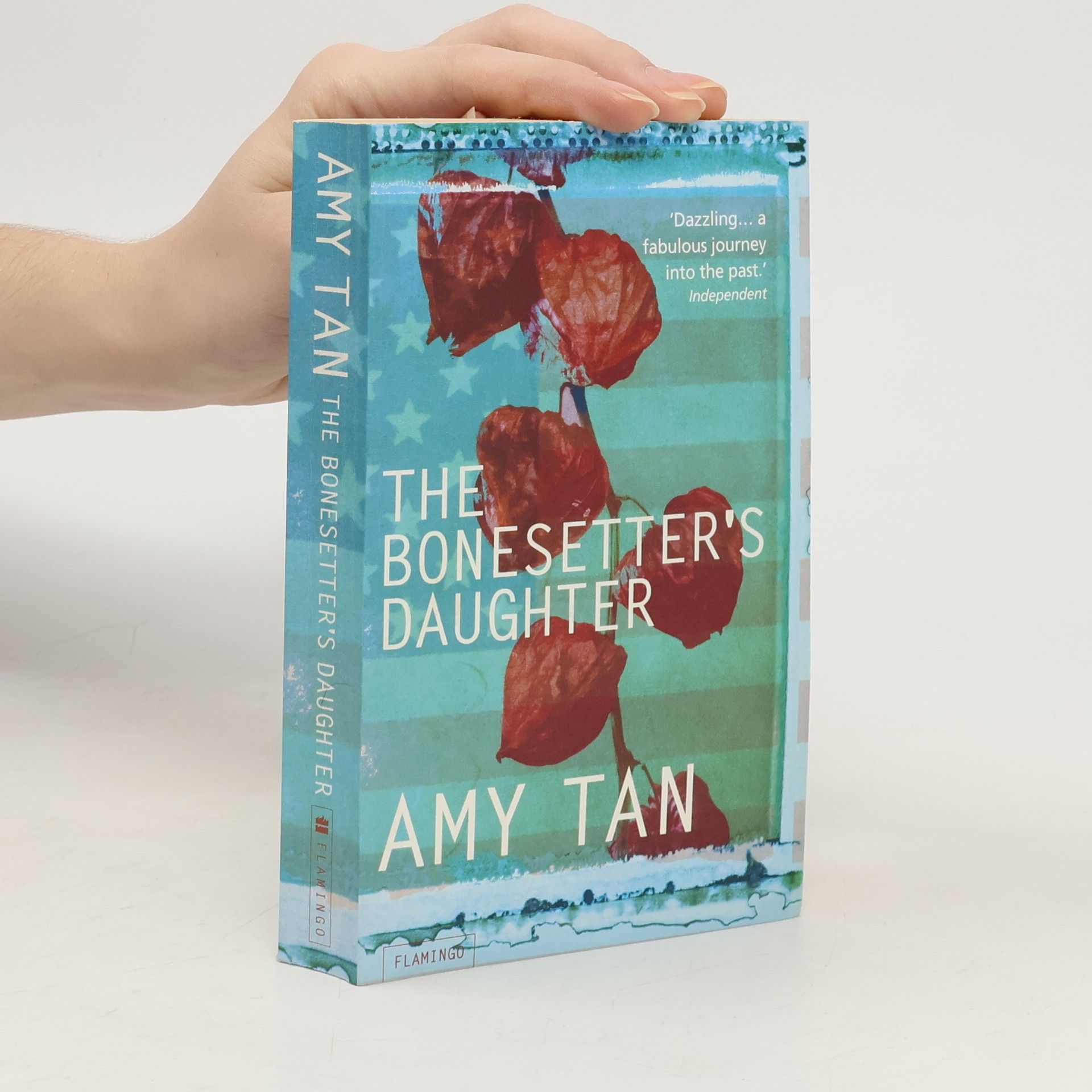 Amy Tan The Bonesetter's daughter