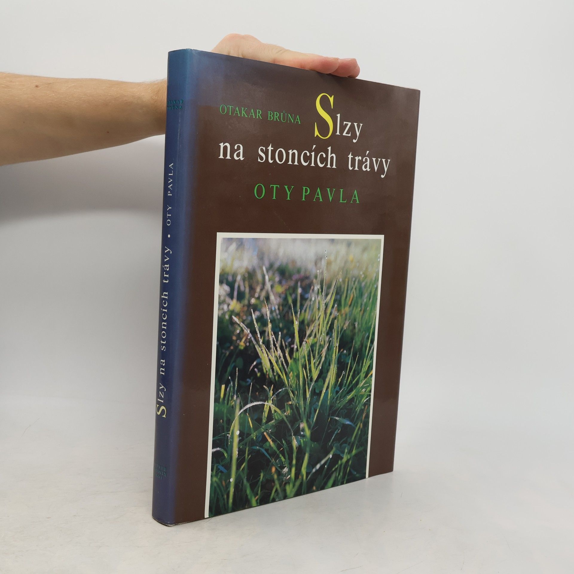 Slzy na stoncích trávy Oty Pavla