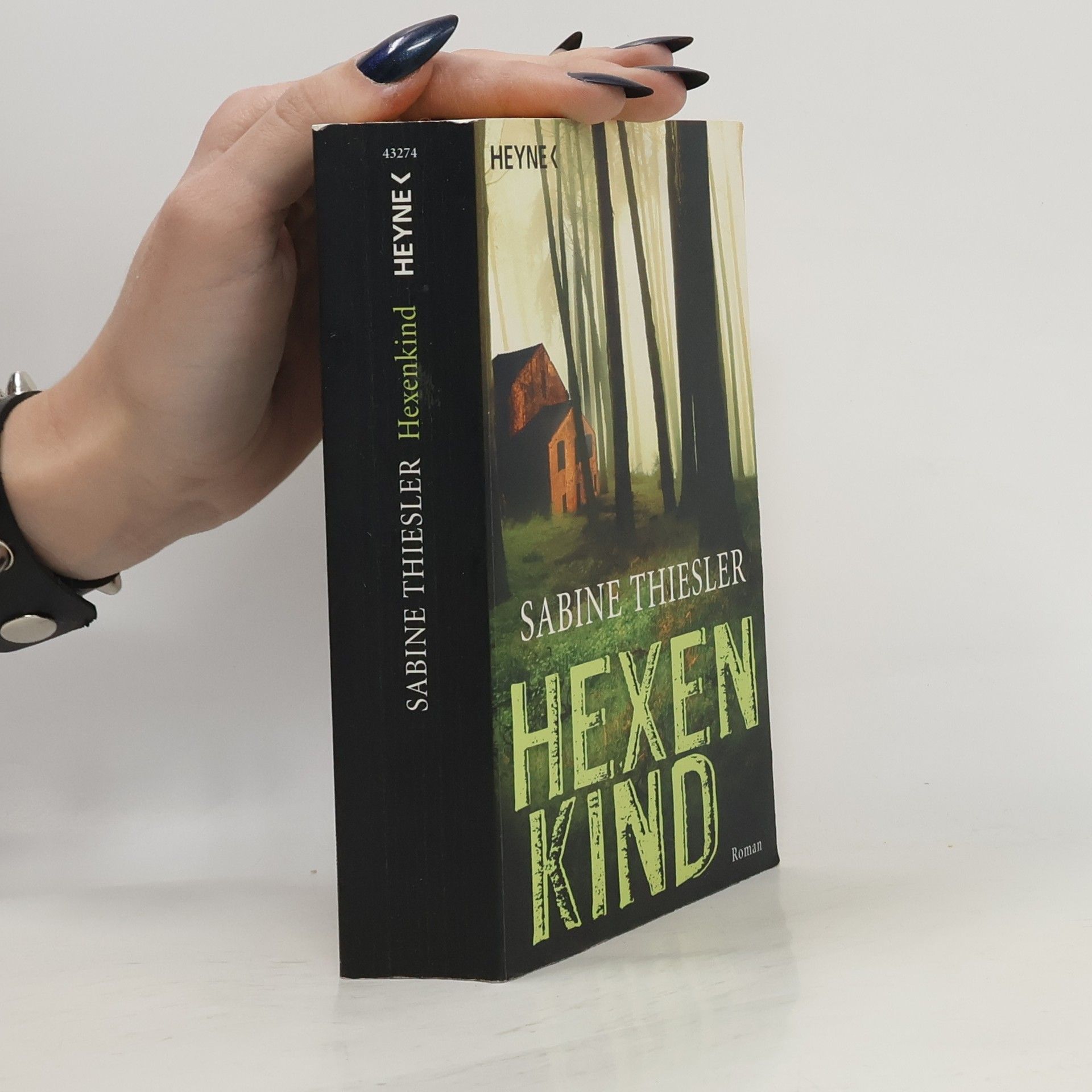 Sabine Thiesler Hexenkind - Roman