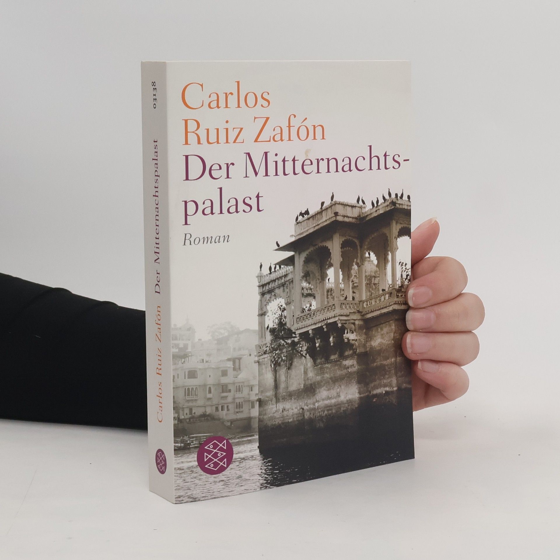 Carlos Ruiz Safon Der Mitternachtspalast