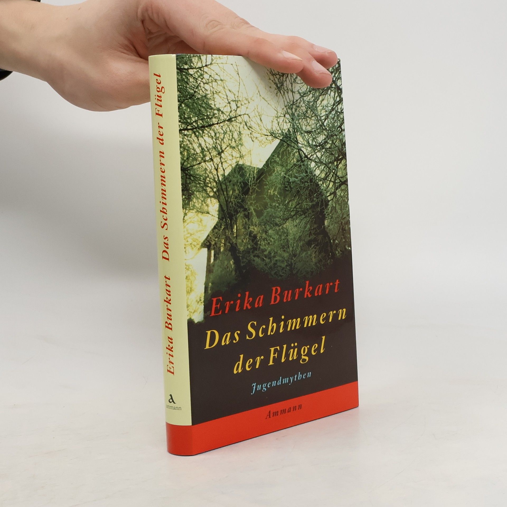 Das Schimmern der Flügel