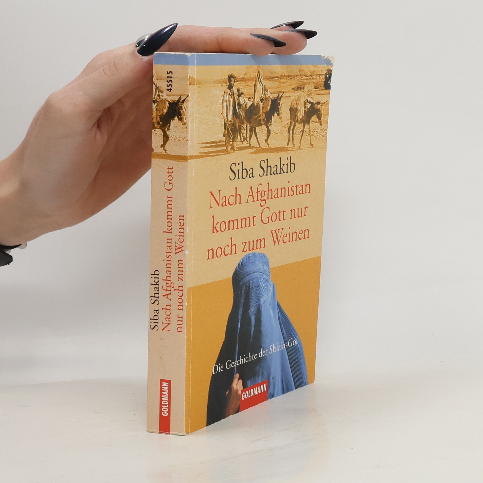 Síba Shakib Nach Afghanistan kommt Gott nur noch zum Weinen