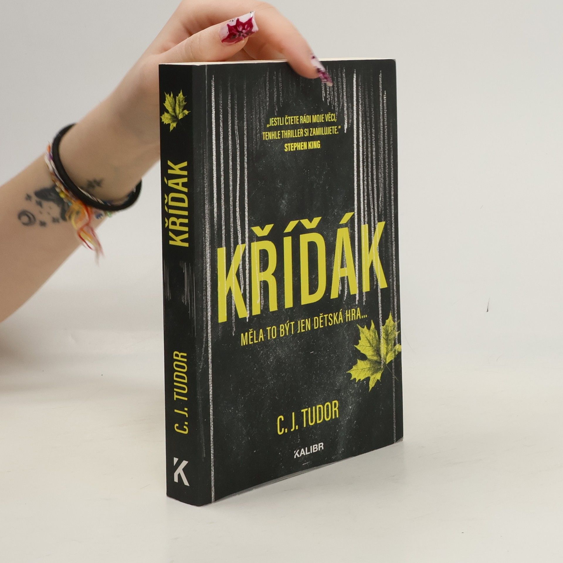 C.J. Tudor Kříďák