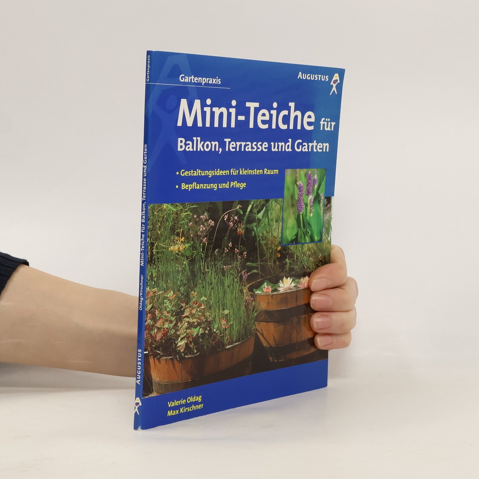 Mini-Teiche für Balkon, Terrasse und Garten