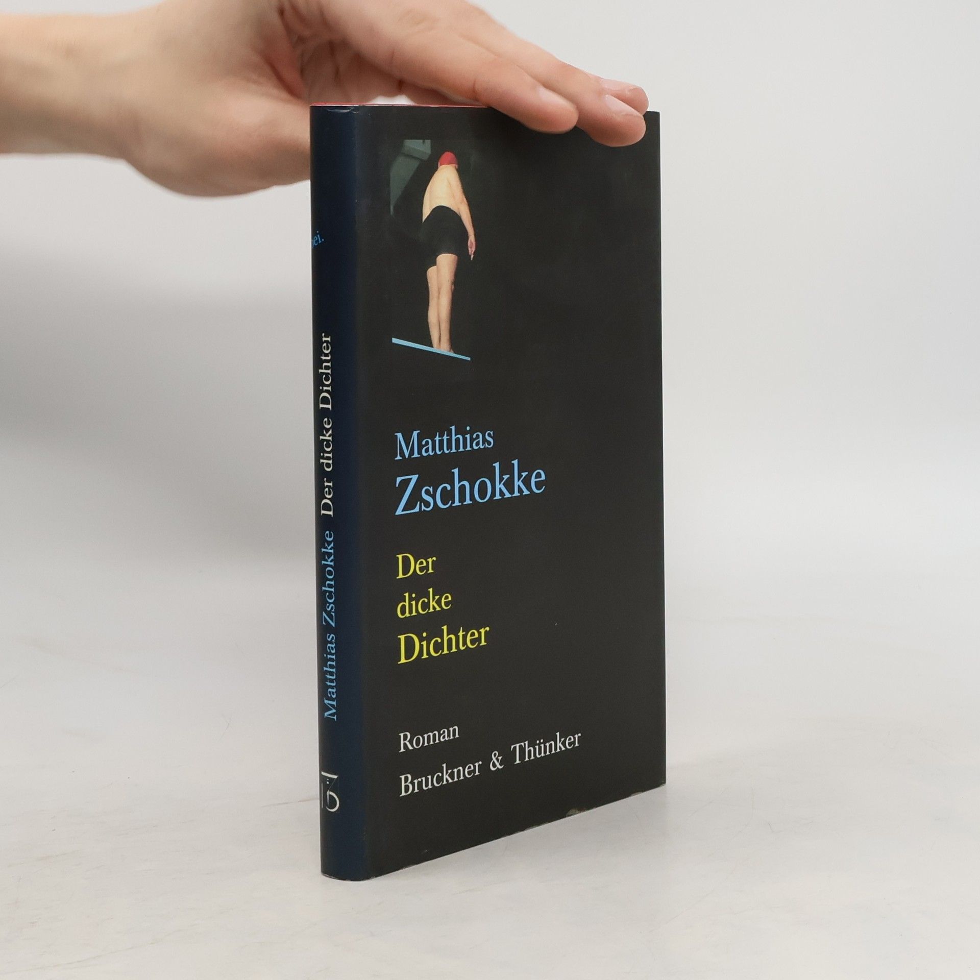 Matthias Zschokke Der dicke Dichter