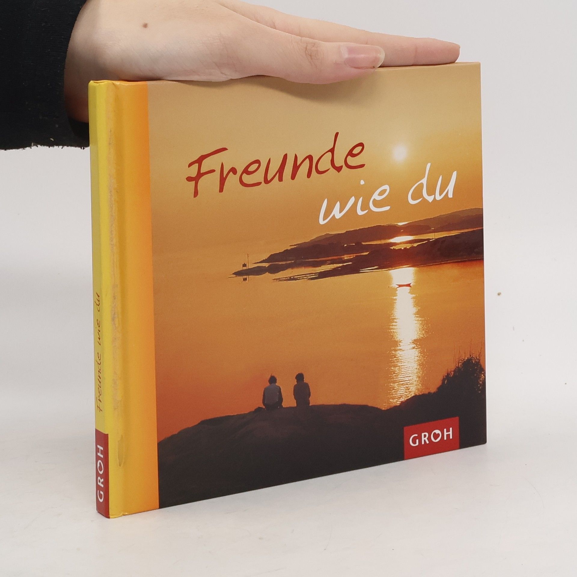 Freunde wie du