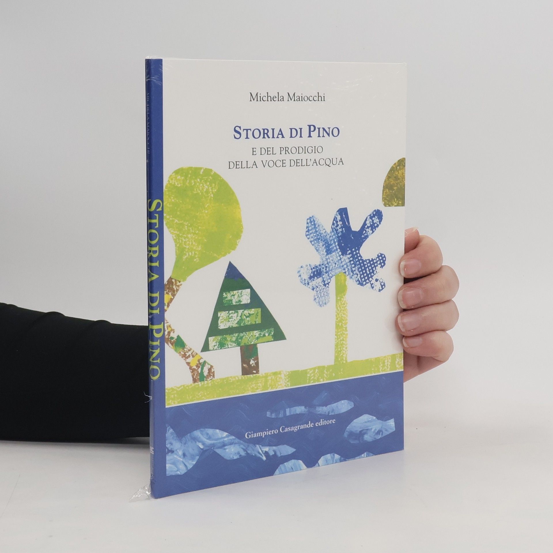 Michela Maiocchi Storia di Pino e del prodigio della voce dell'acqua
