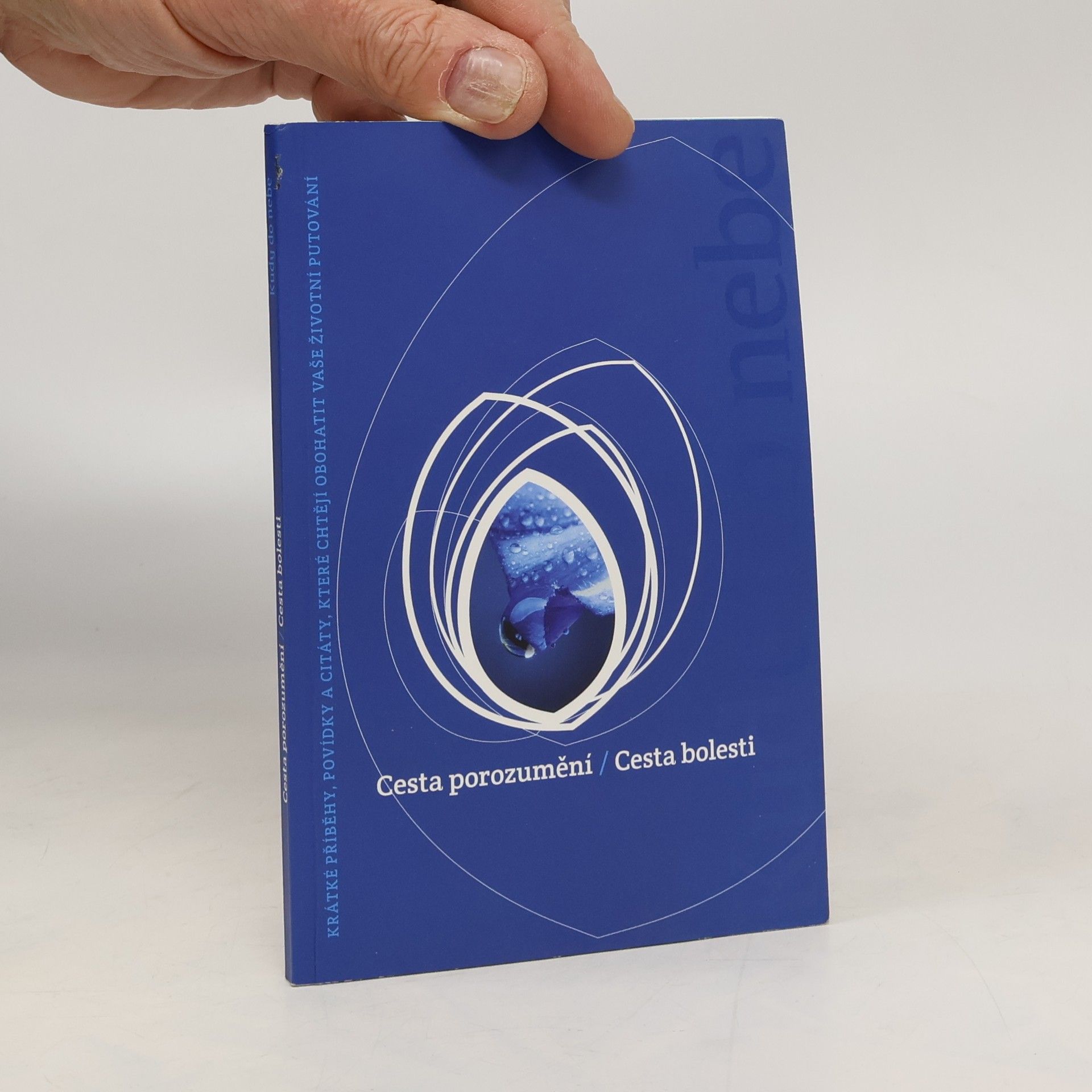 AA.VV. Cesta porozumění / Cesta bolesti