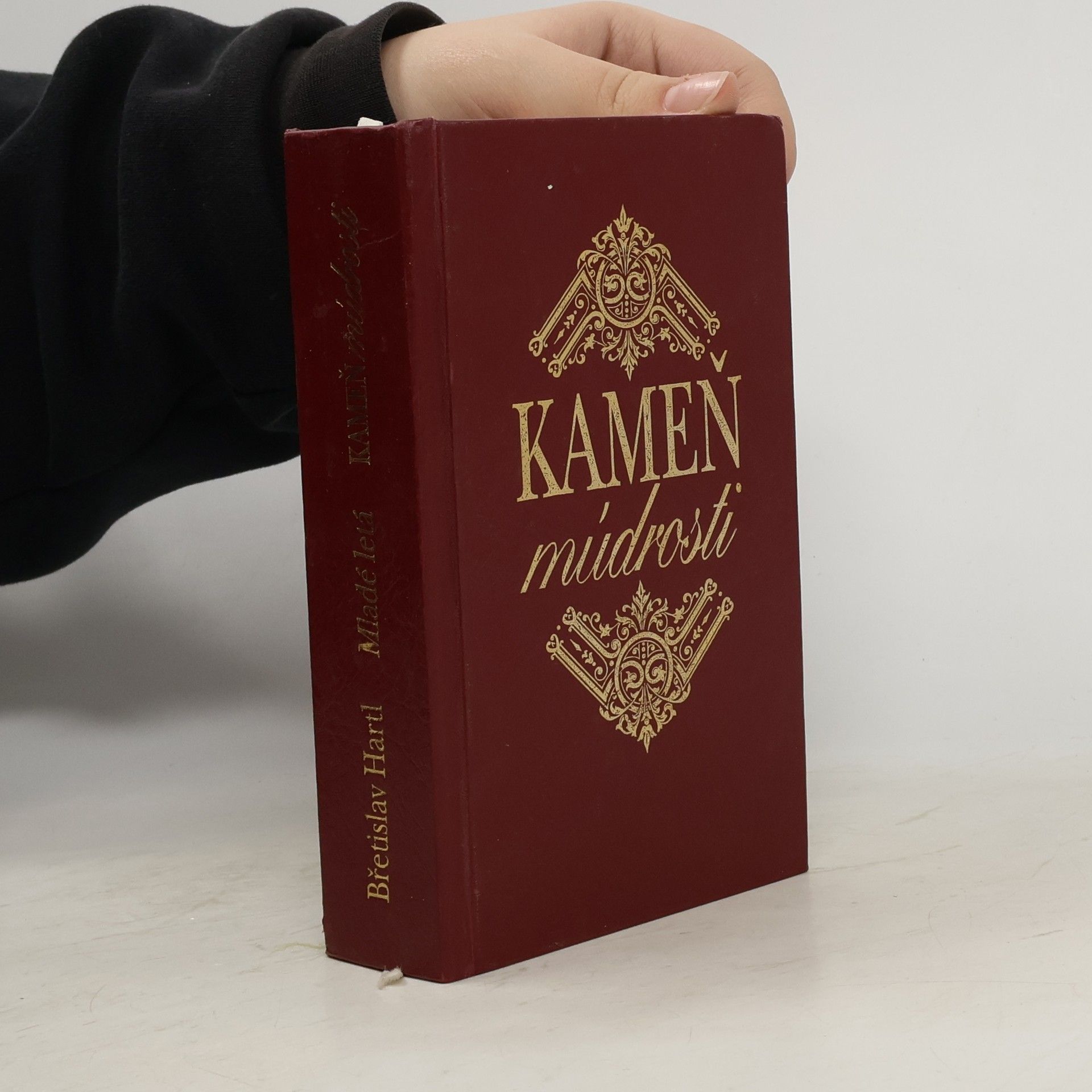 Břetislav Hartl Kameň múdrosti