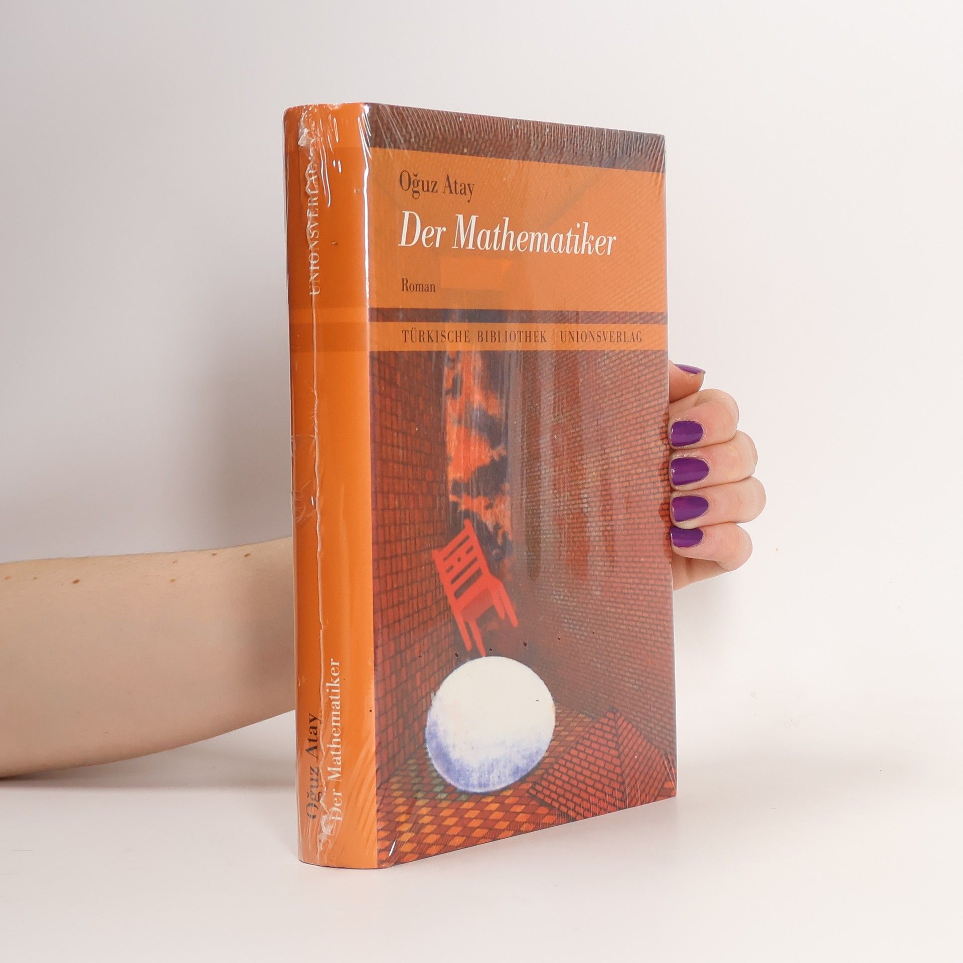 Oğuz Atay Der Mathematiker
