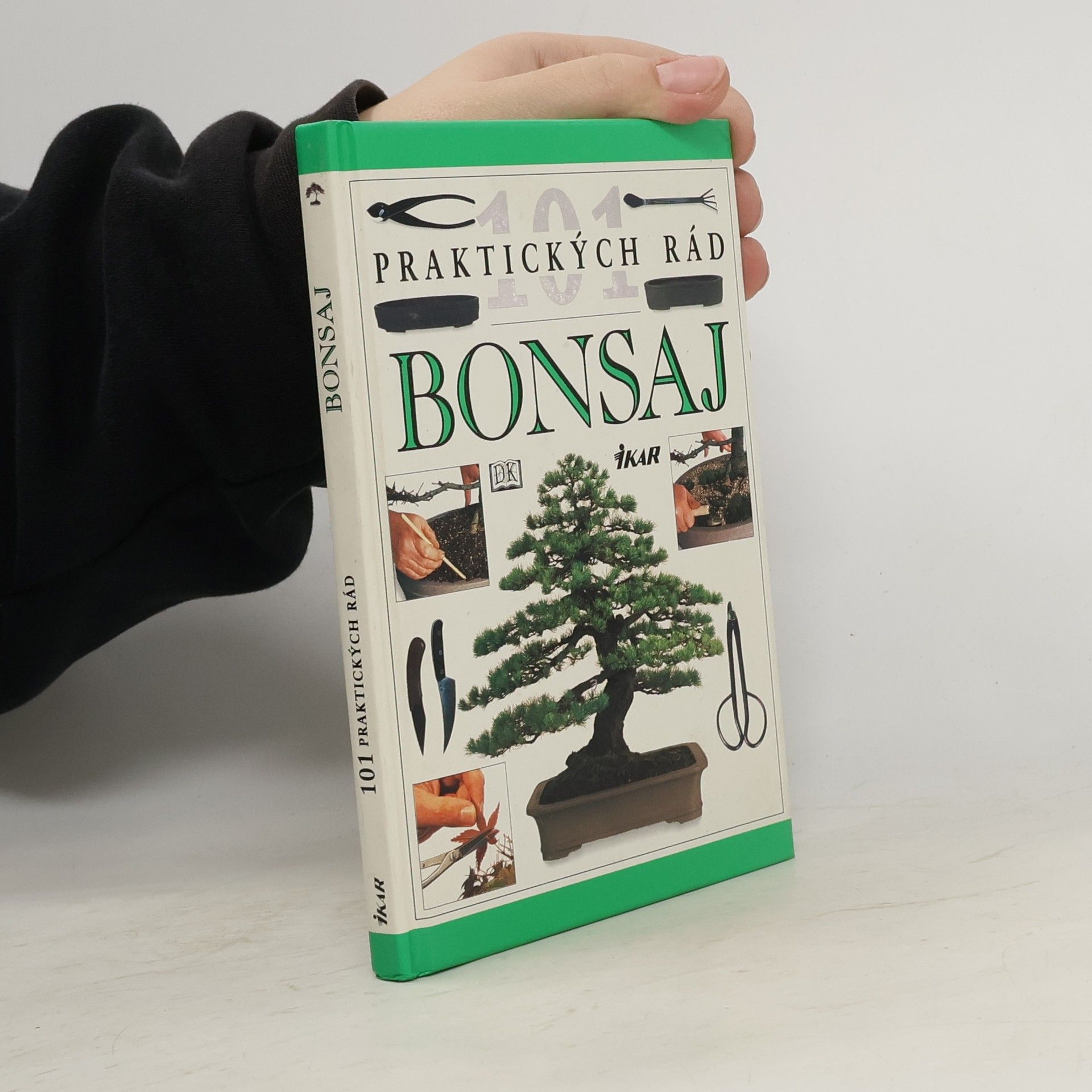 101 praktických rád: Bonsaj