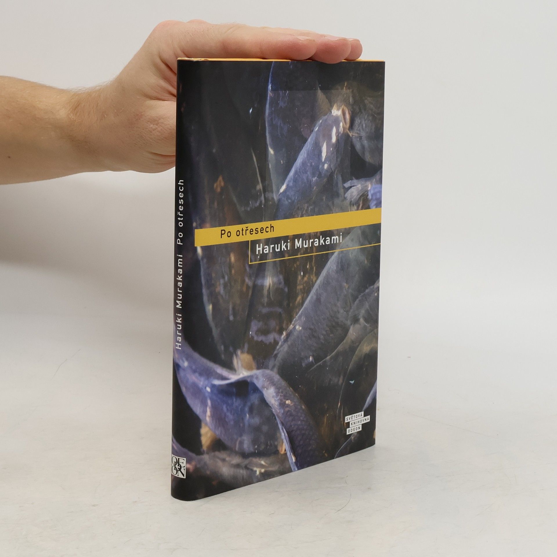 Haruki Murakami Po otřesech