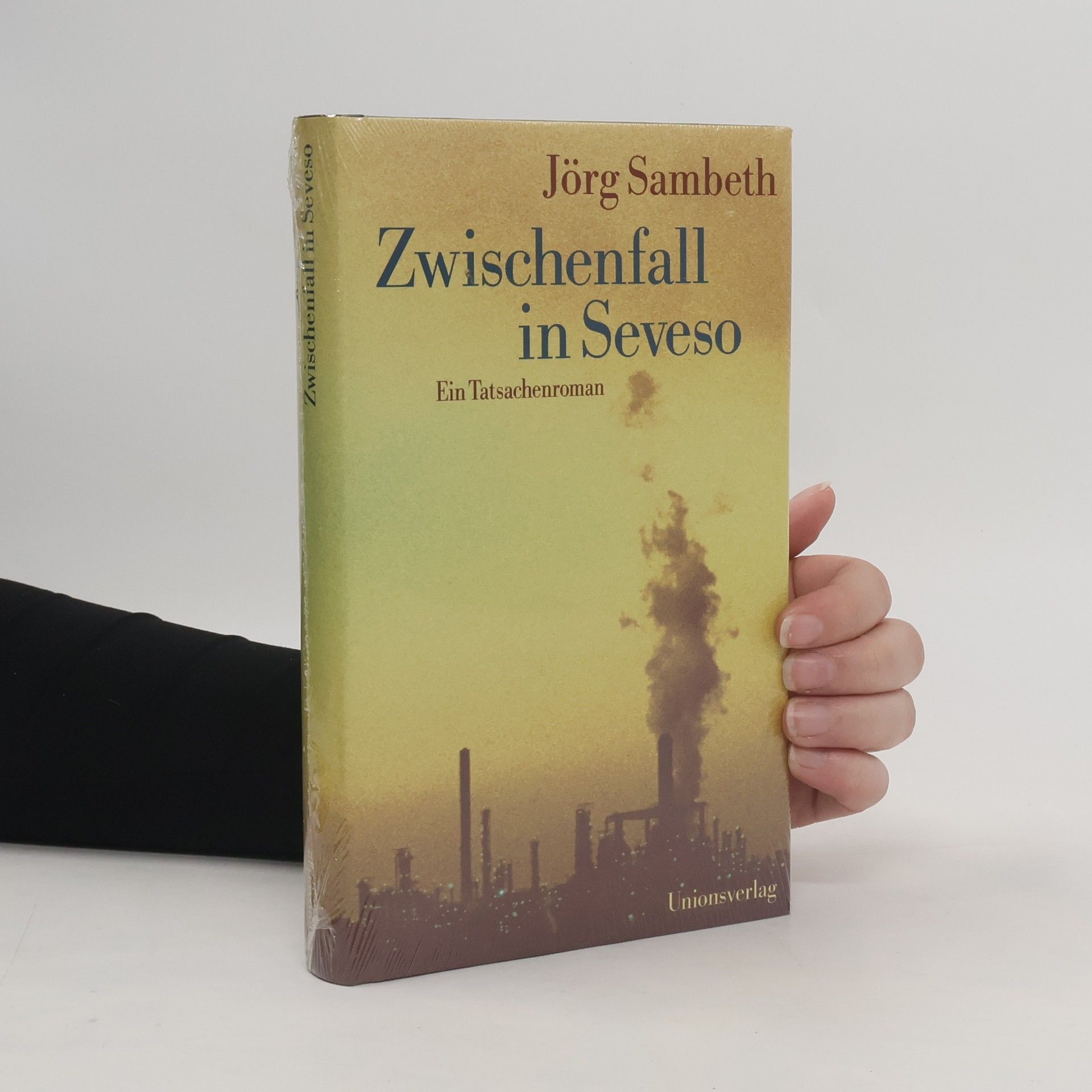 Zwischenfall in Seveso