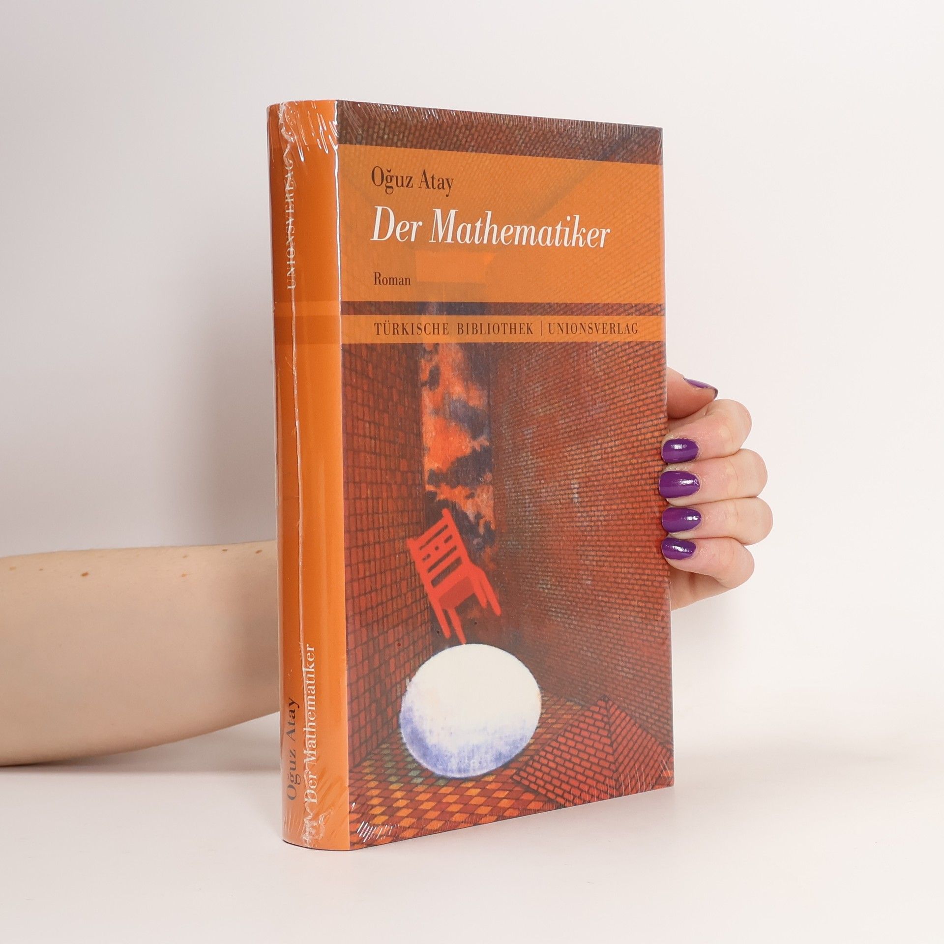 Oğuz Atay Der Mathematiker