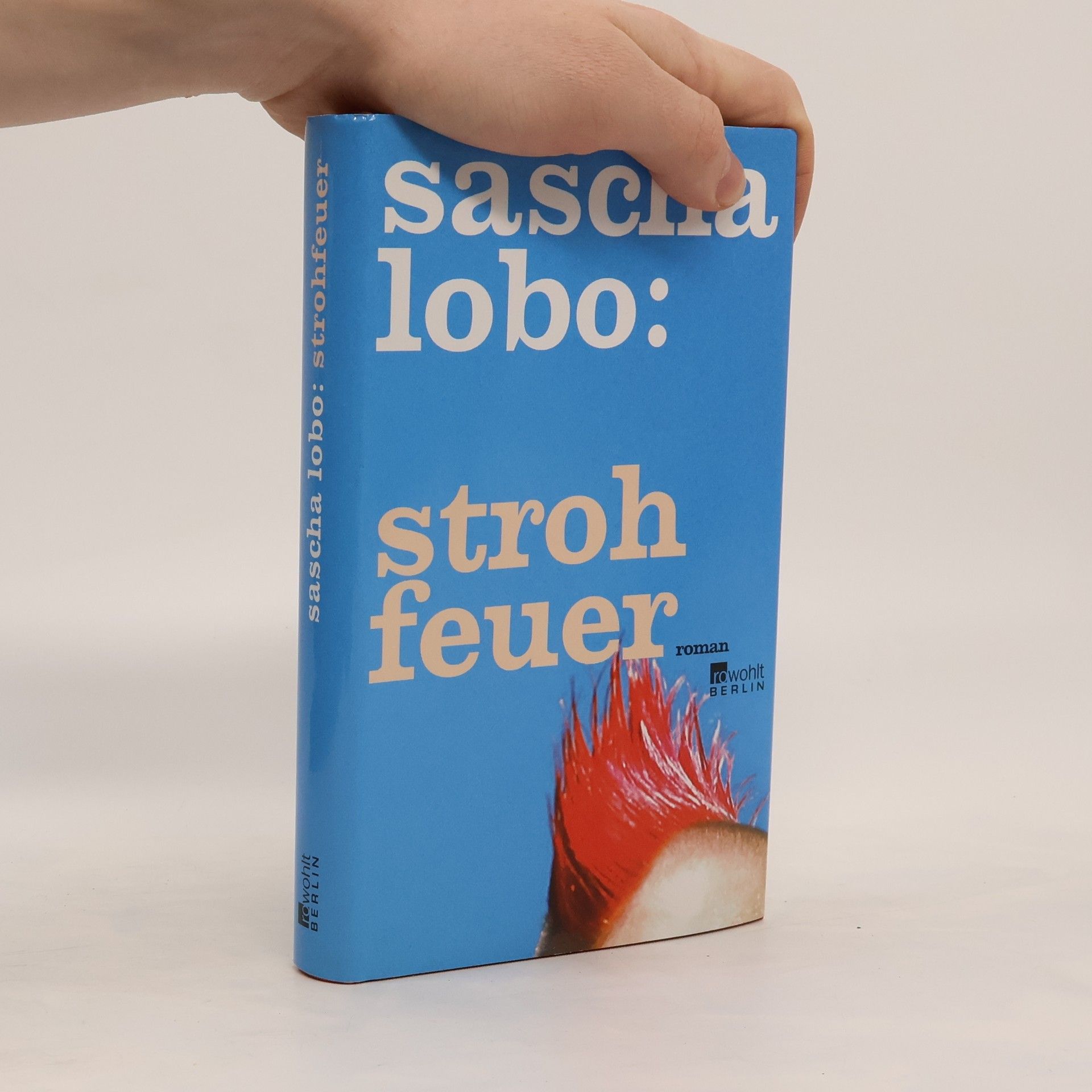 Sascha Lobo Strohfeuer