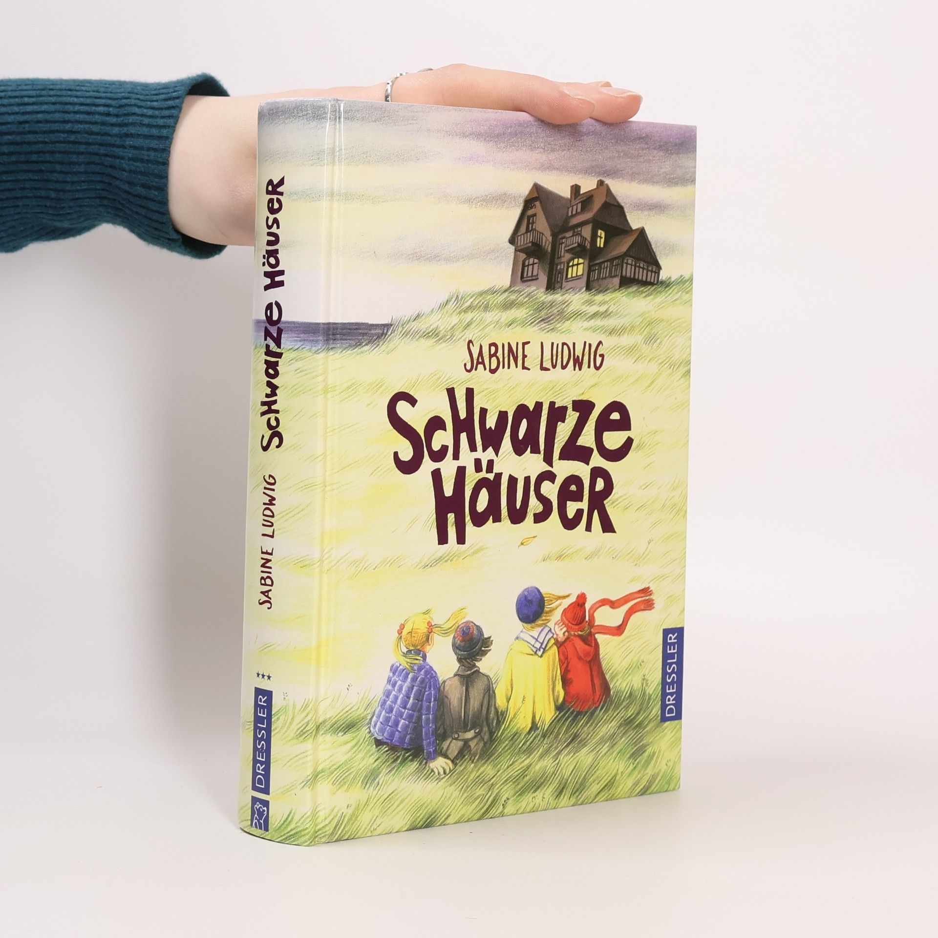 Sabine Ludwig Schwarze Häuser