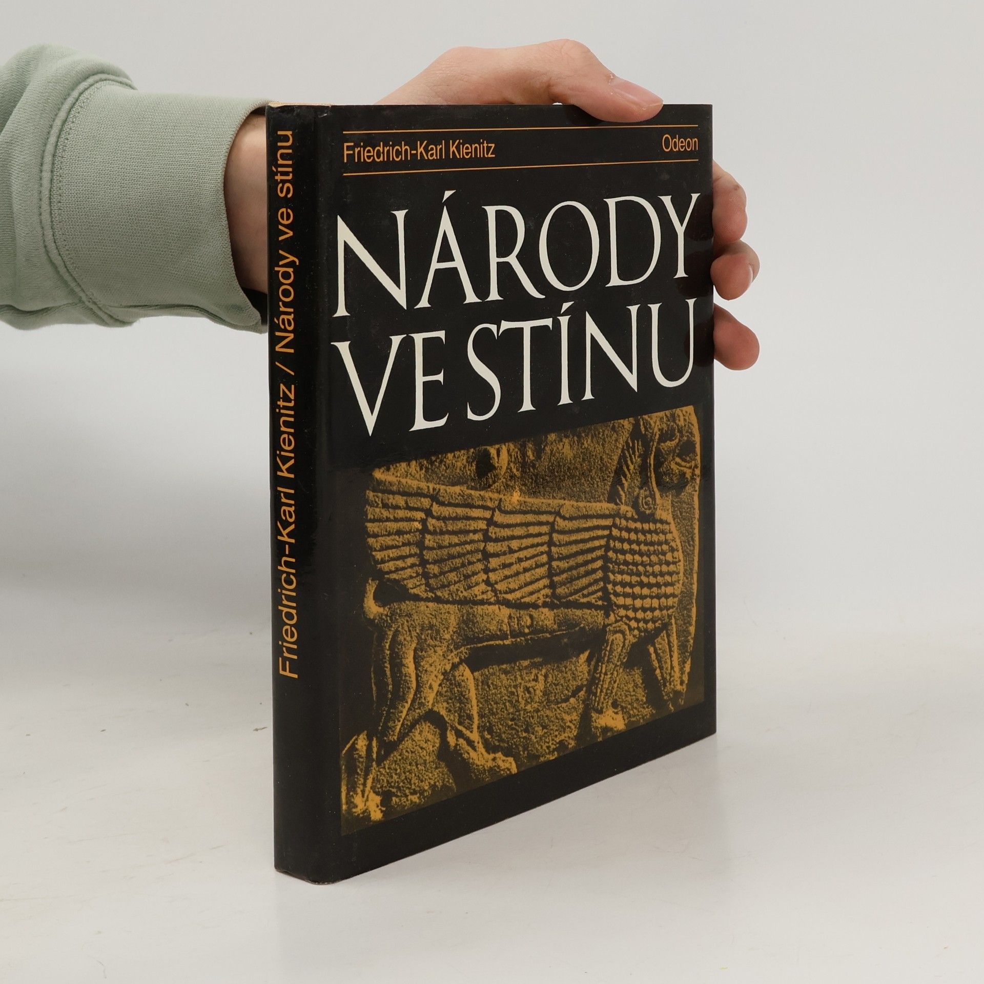 Friedrich Karl Kienitz Národy ve stínu