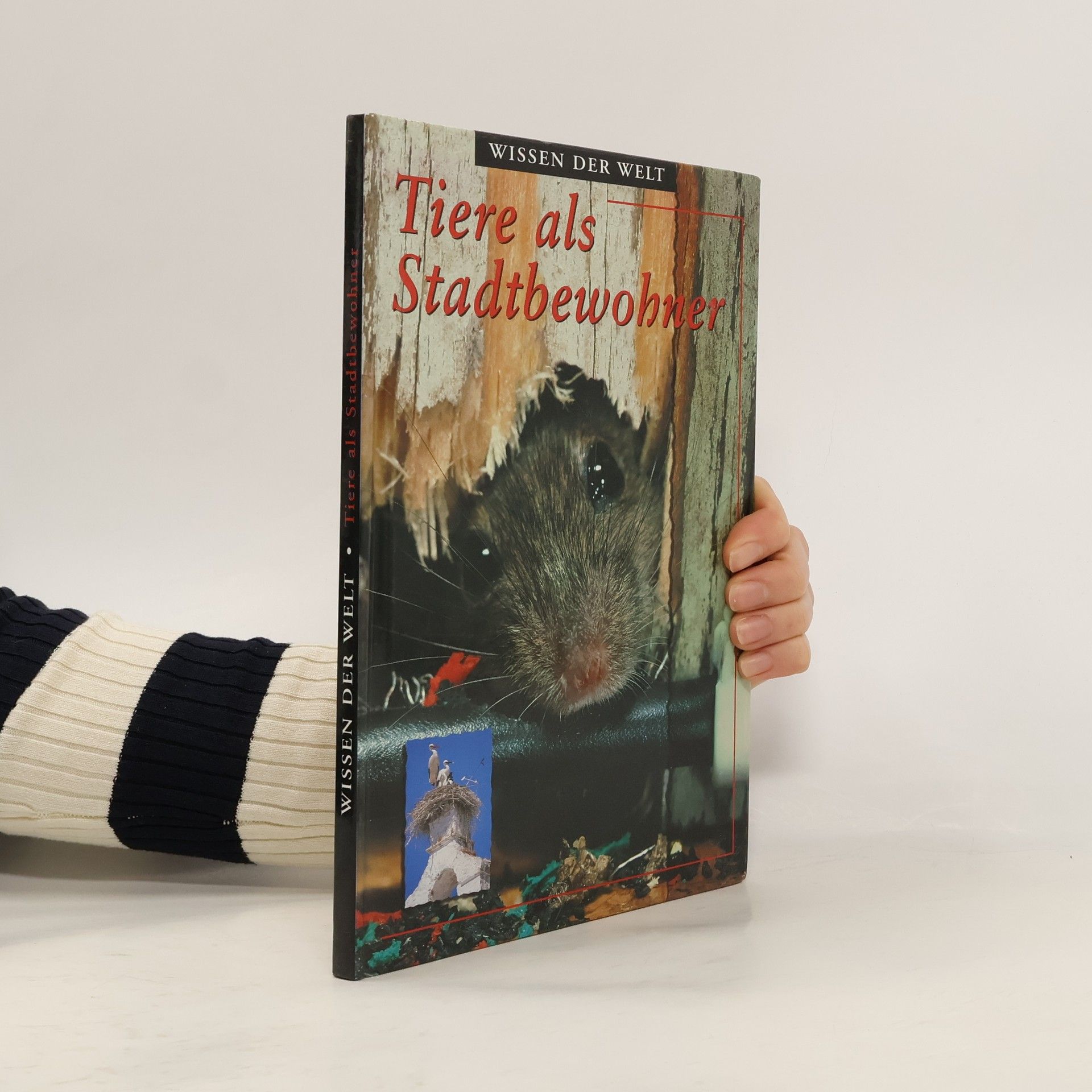 Autorenkollektiv Tiere als Stadtbewohner