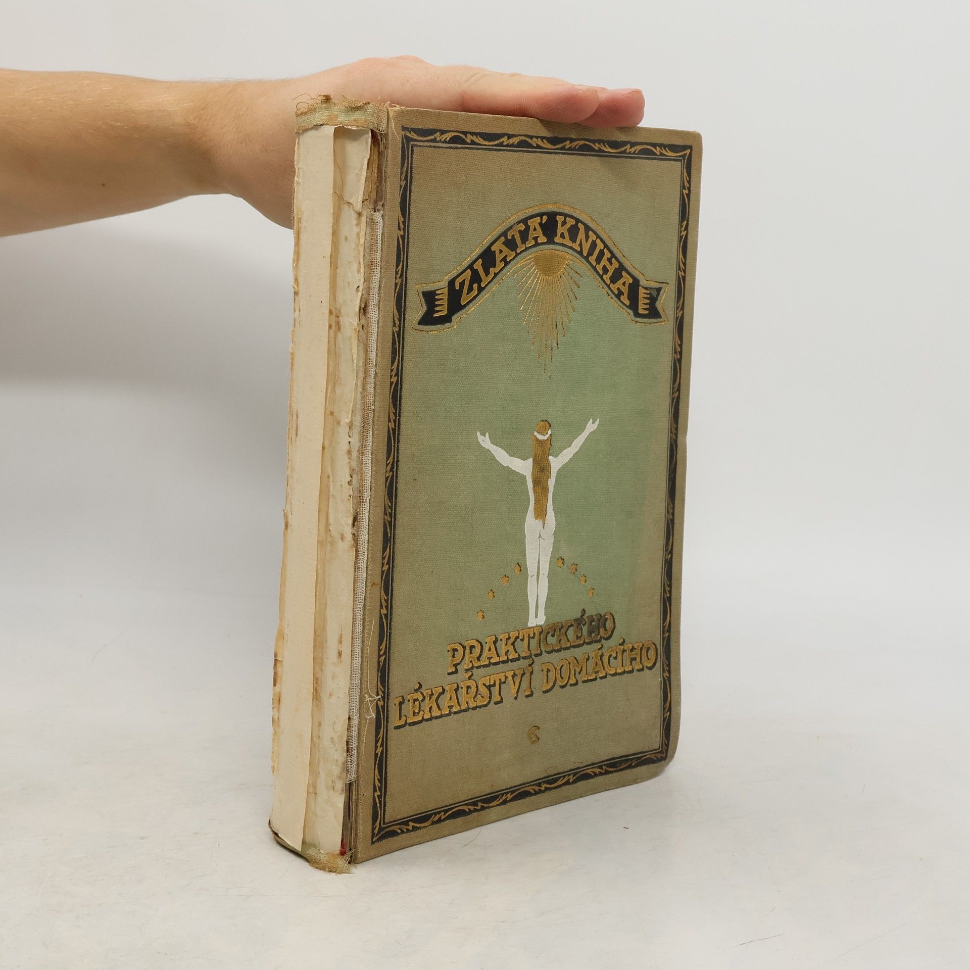 Adolf Ambrož Zlatá kniha praktického lékařství domácího