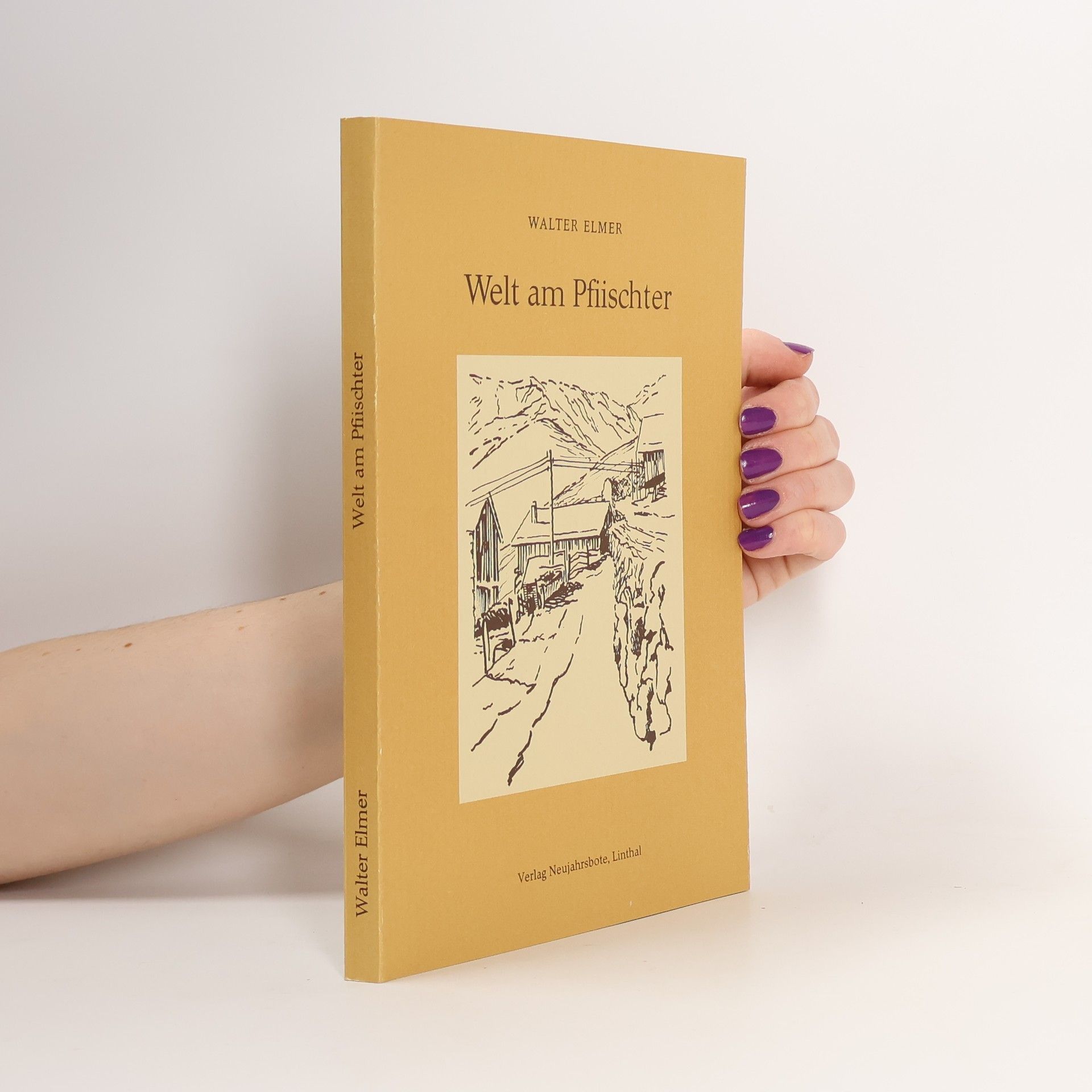 Walter Elmer Welt am Pfiischter