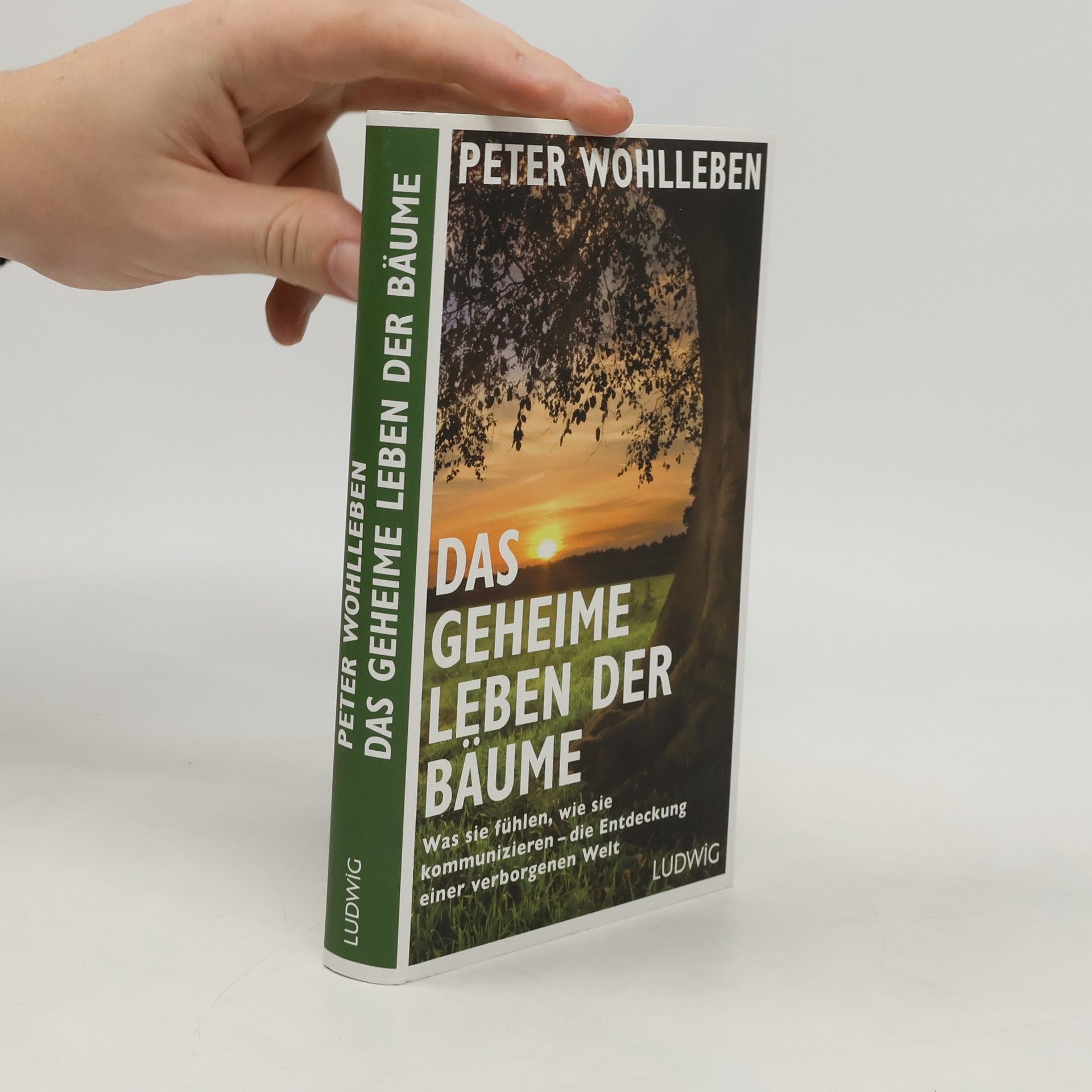 Peter Wohlleben Das geheime Leben der Bäume