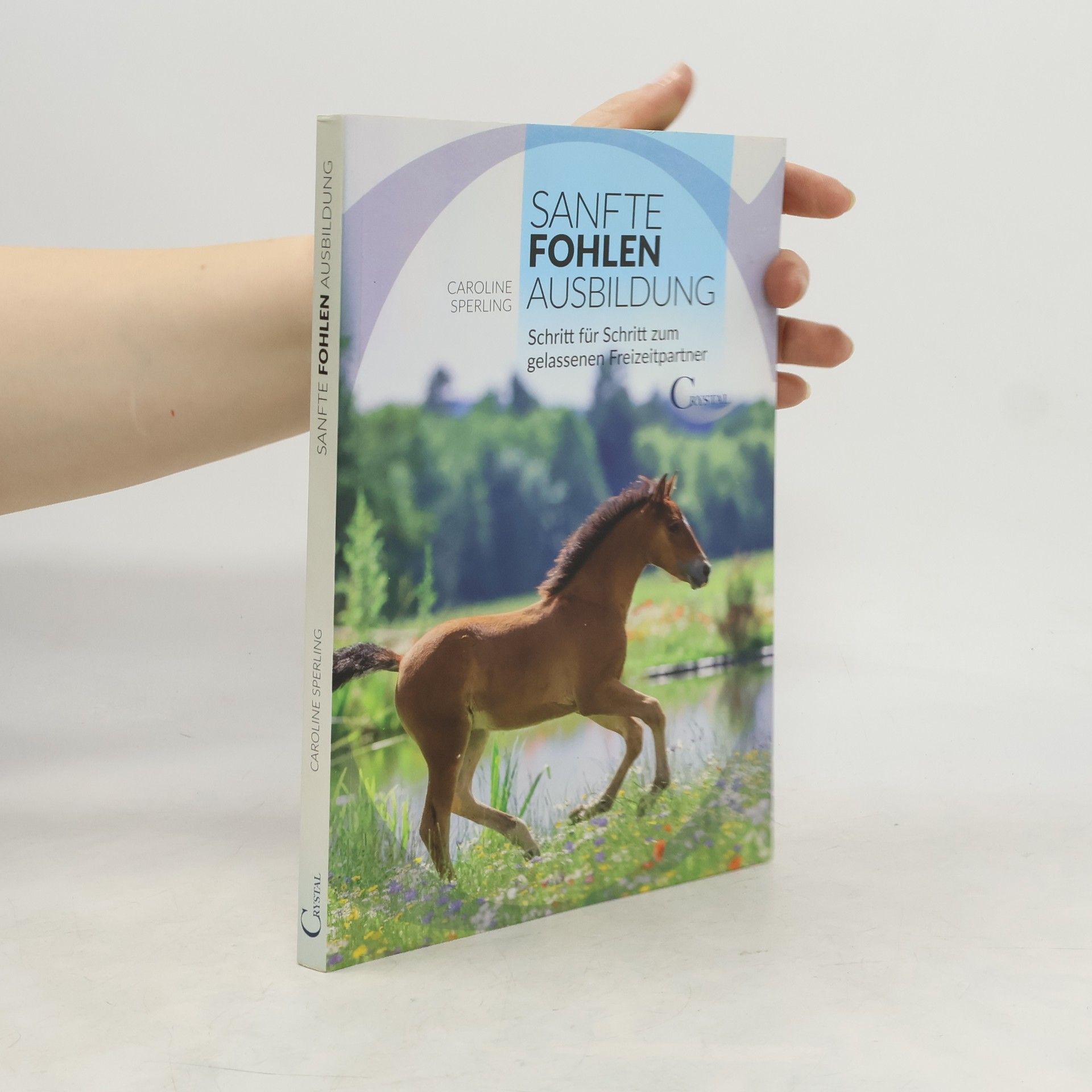 Sanfte Fohlenerziehung