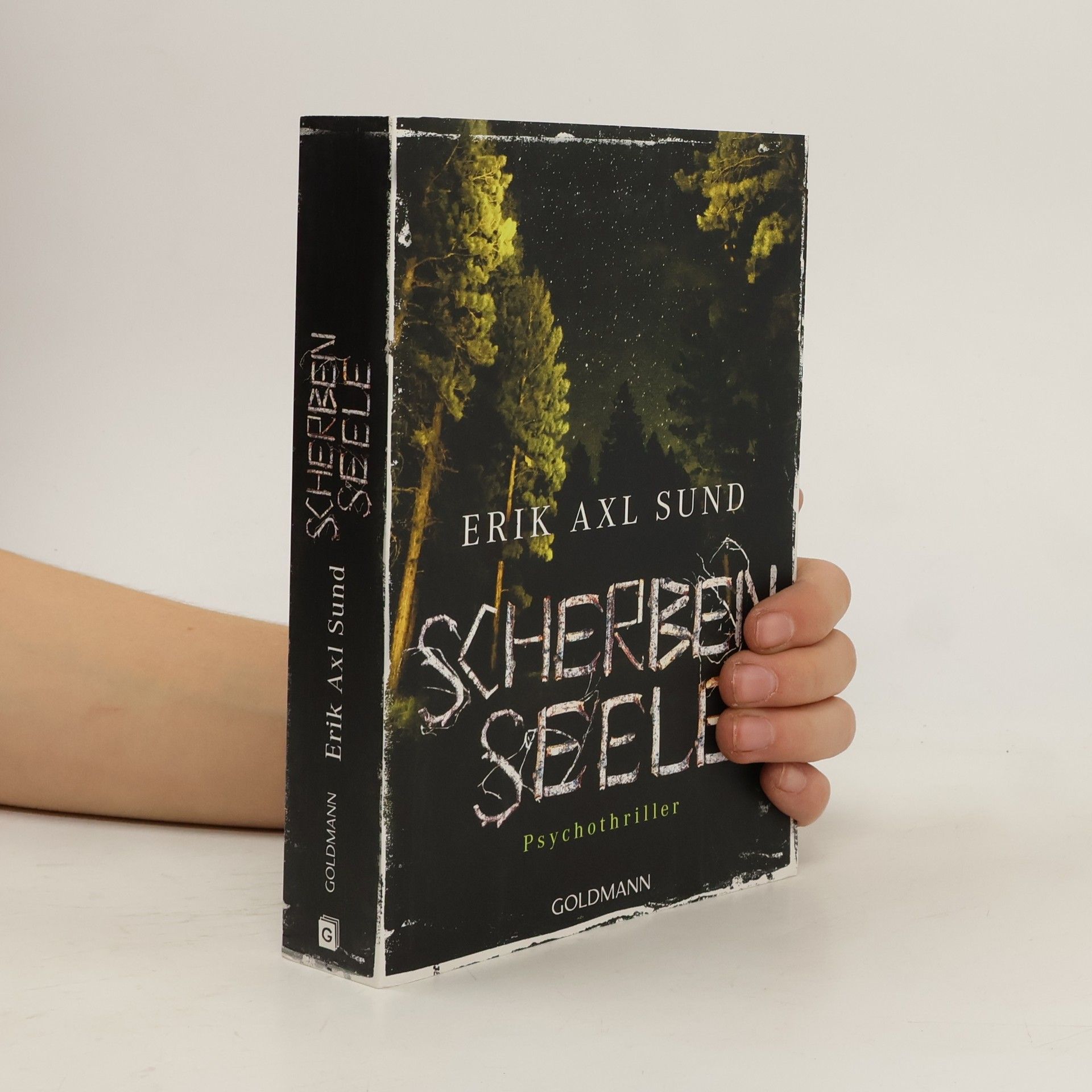 Erik Axl Sund Scherbenseele