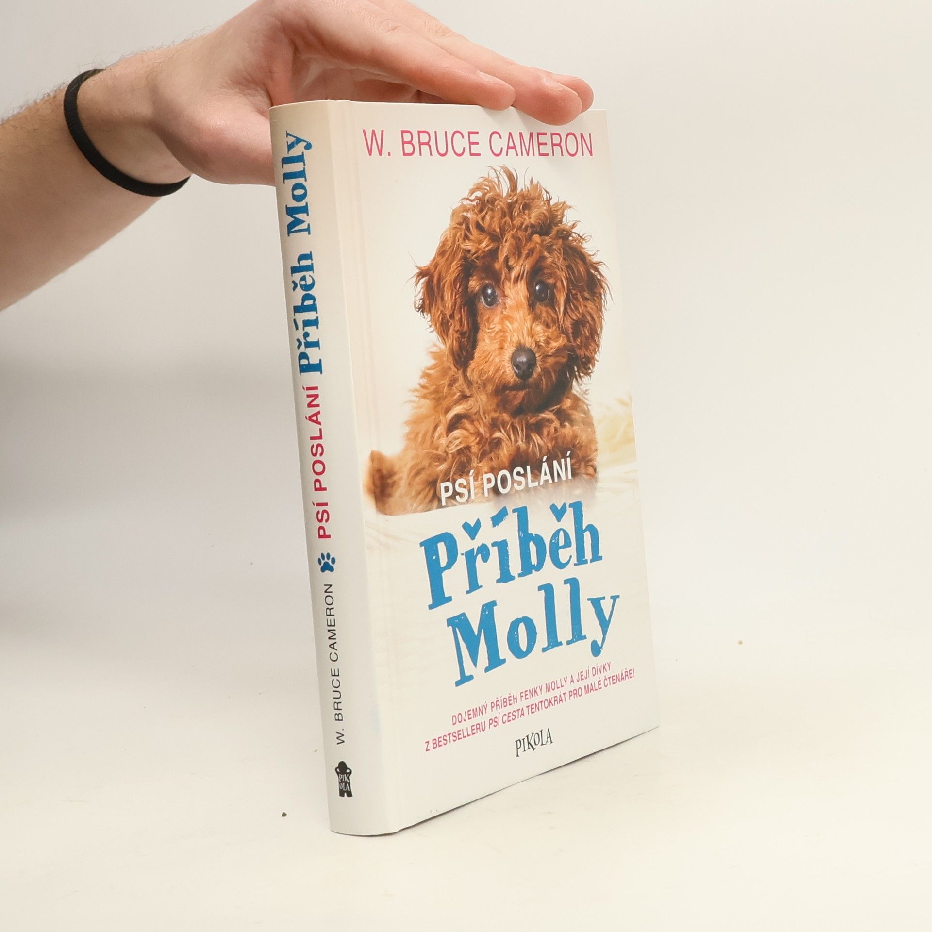 Psí poslání: Příběh Molly