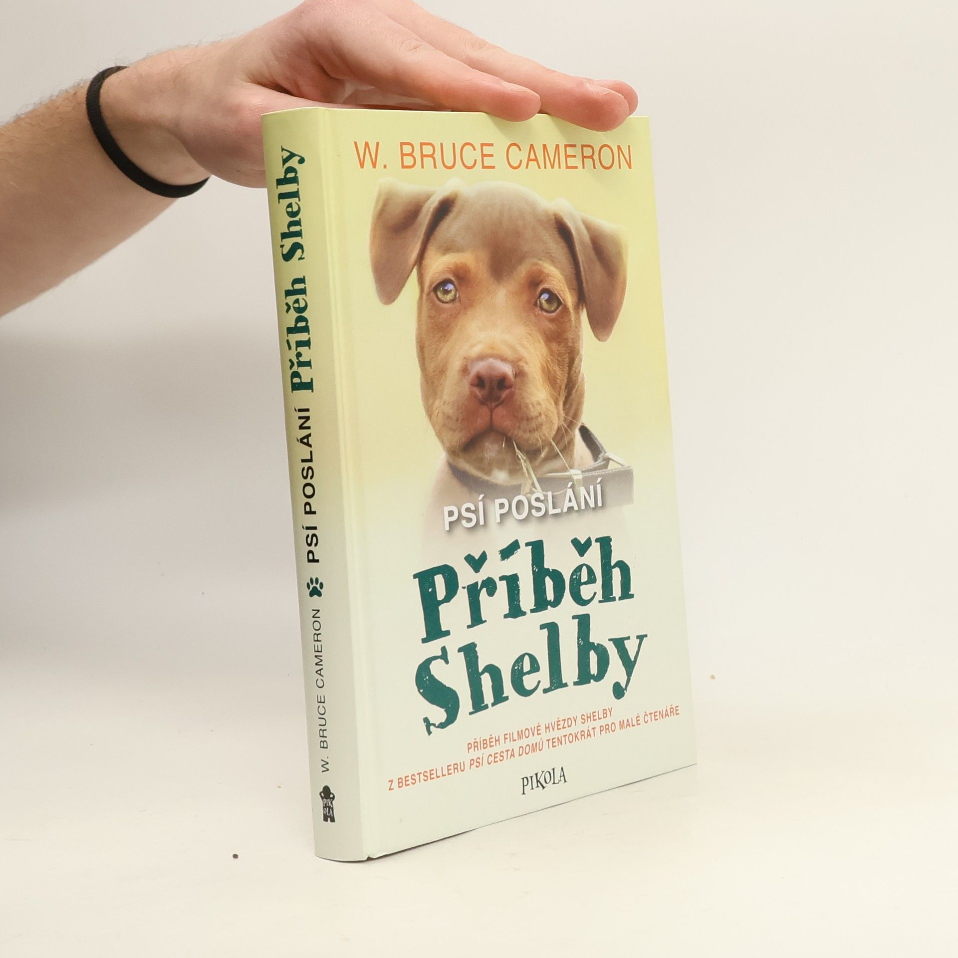 Psí poslání. Příběh Shelby