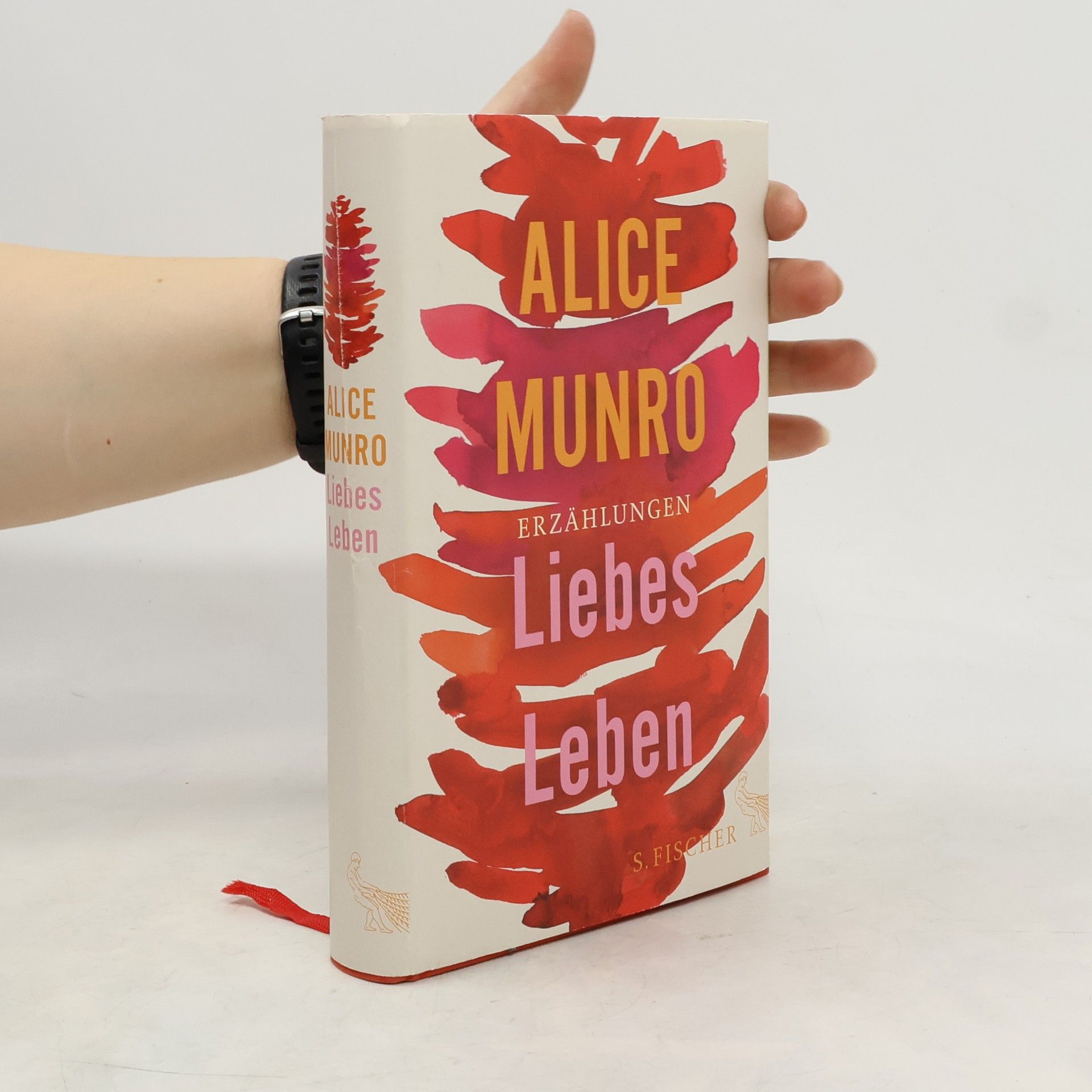 Alice Munro Liebes Leben