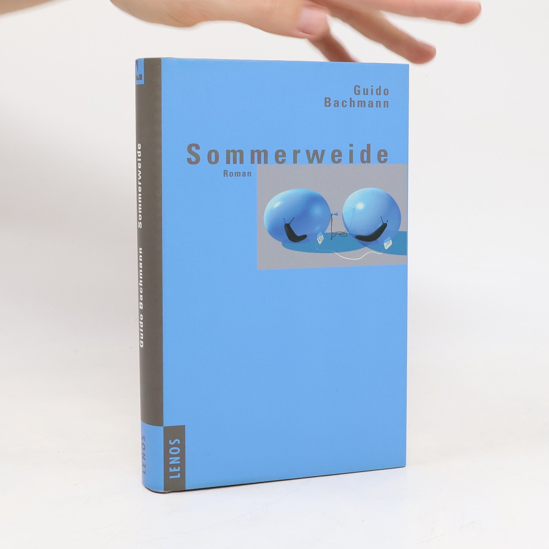 Guido Bachmann Sommerweide