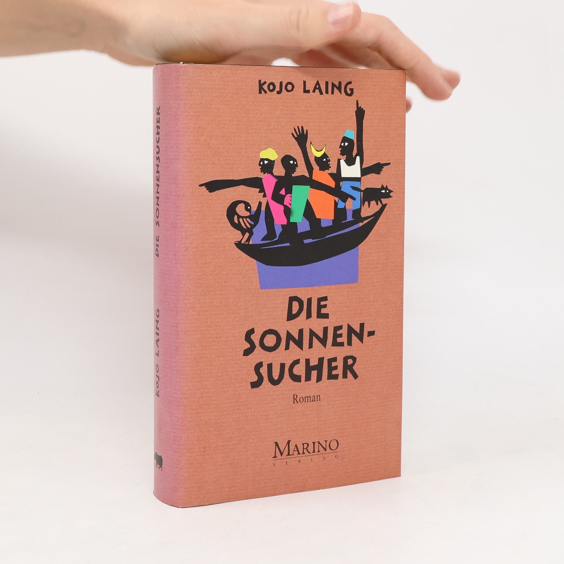 Kojo Laing Die Sonnensucher