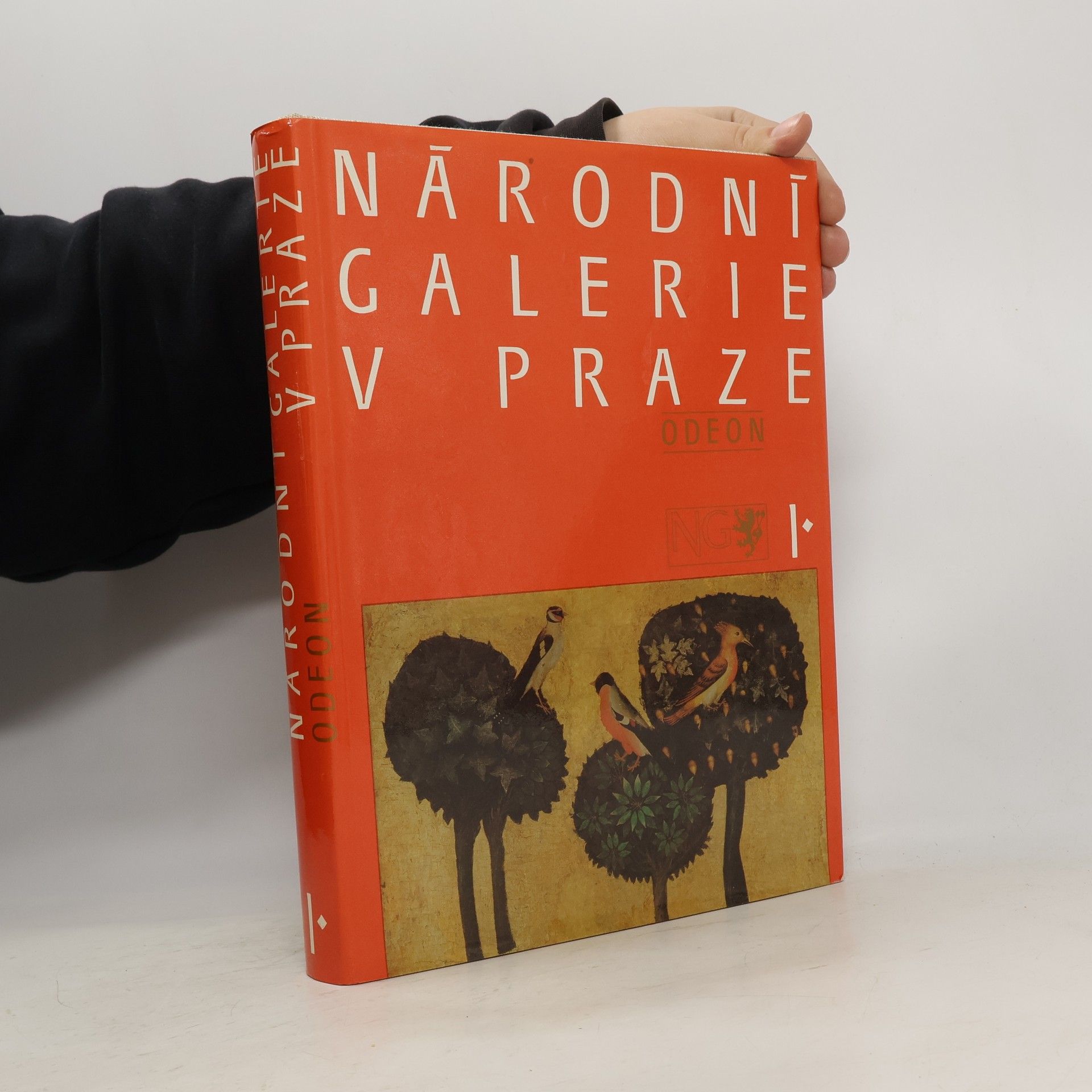 Kolektiv autorů Národní galerie v Praze