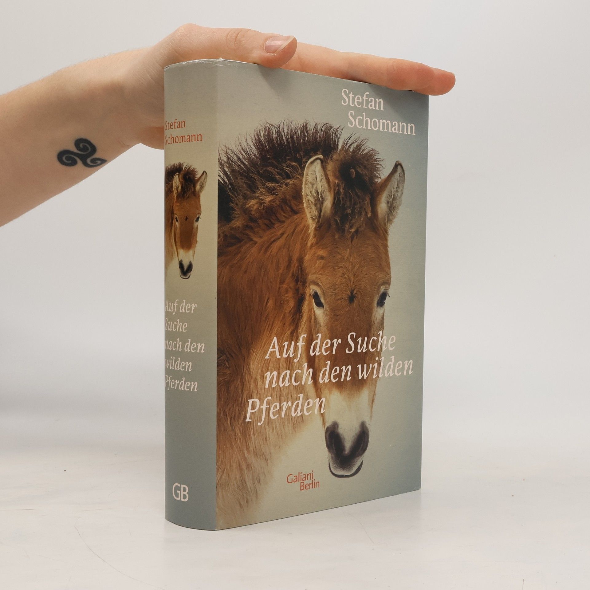 Auf der Suche nach den wilden Pferden