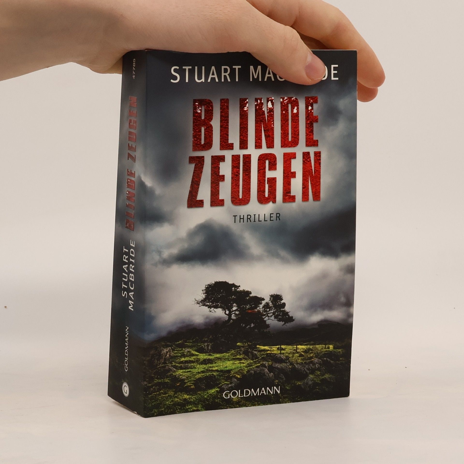 Stuart MacBride Blinde Zeugen