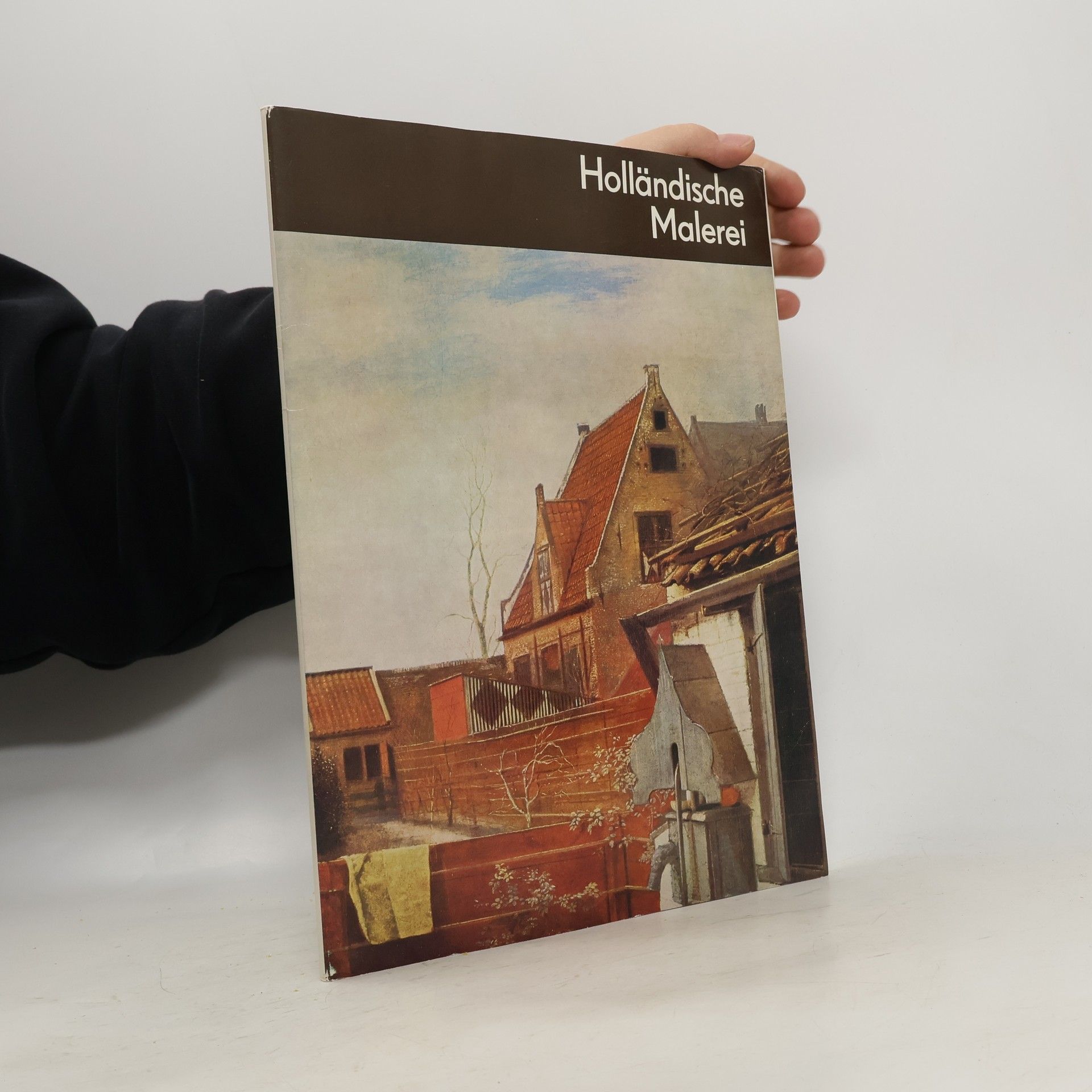 Autorenkollektiv Holländische Malerei