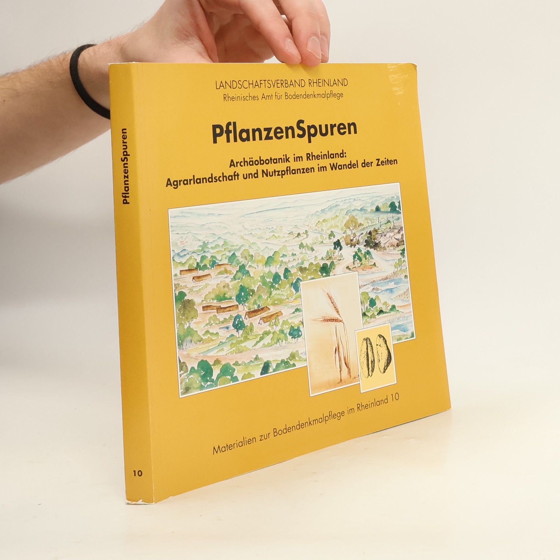 Karl-Heinz Knörzer Pflanzenspuren