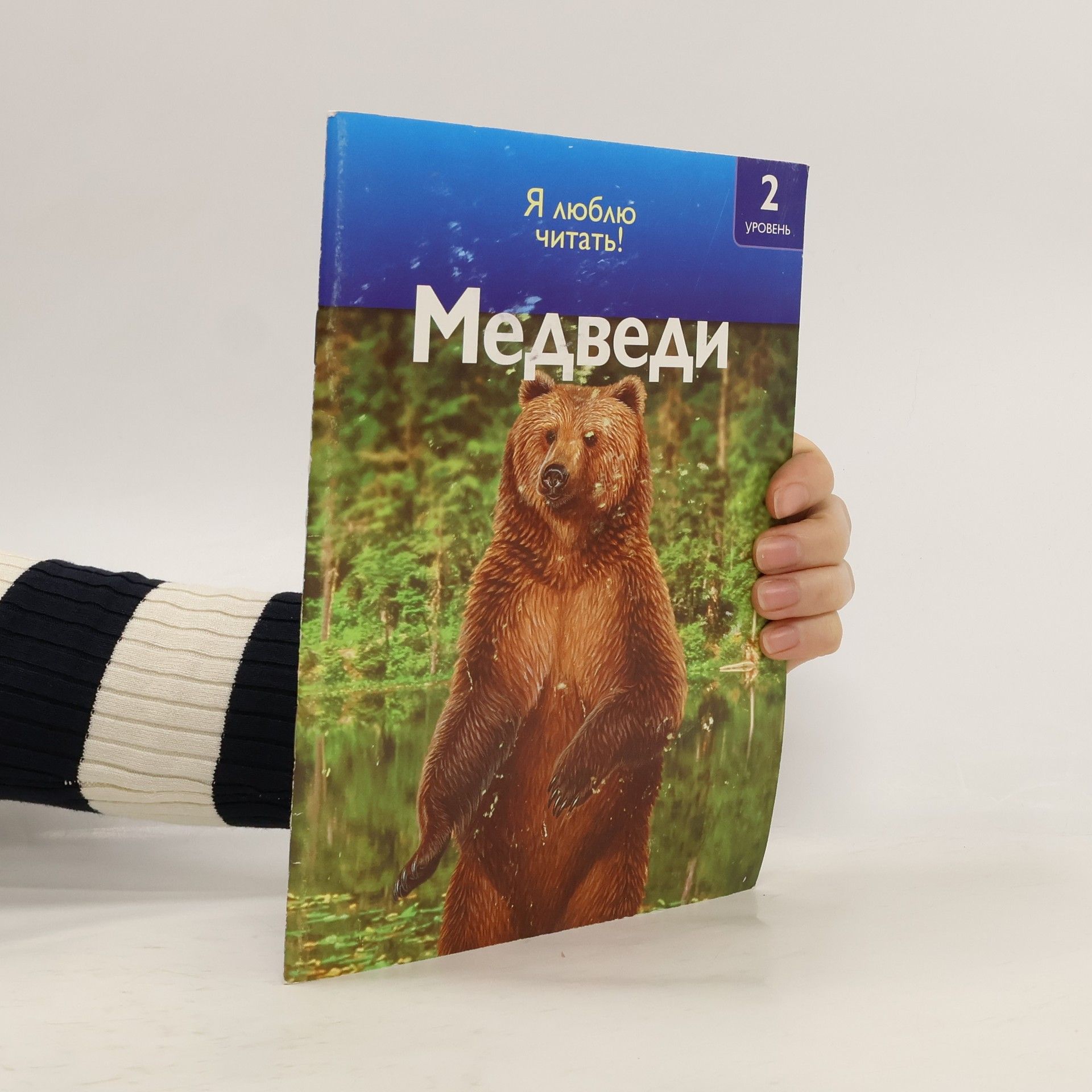 Дениз Райан Медведи