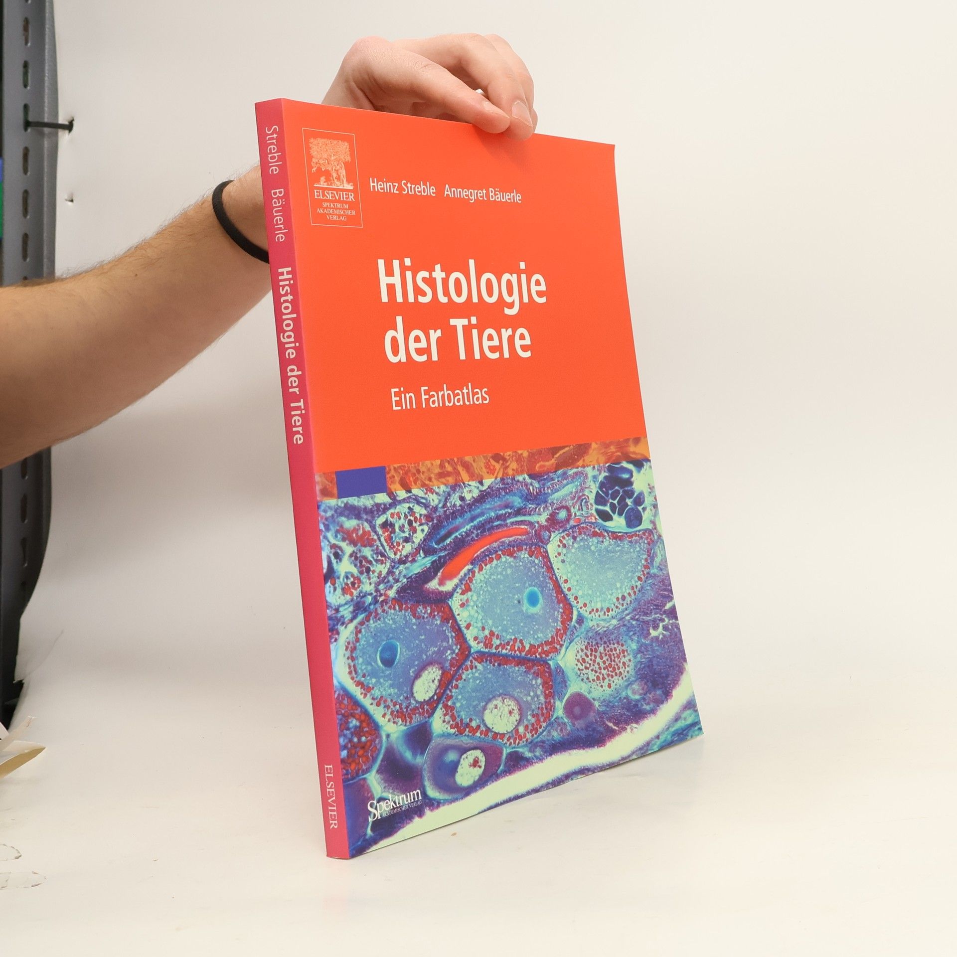 Heinz Streble Histologie der Tiere
