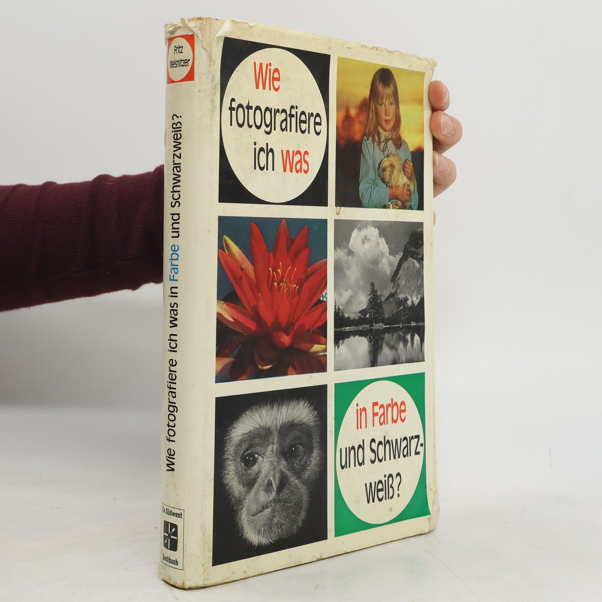 Fritz Meisnitzer Wie fotografiere ich was in Farbe und Schwarzweiss?