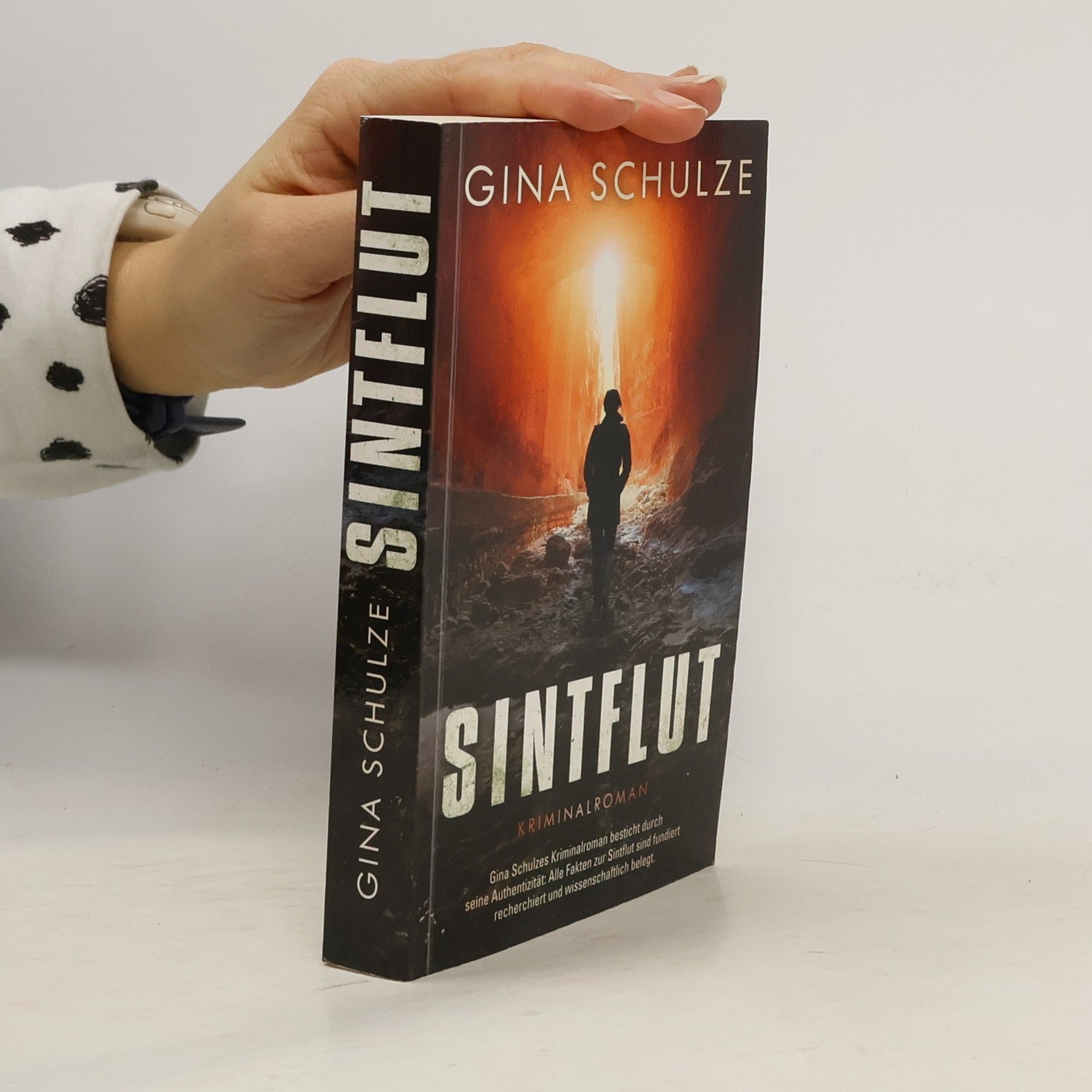 Gina Schulze Sintflut