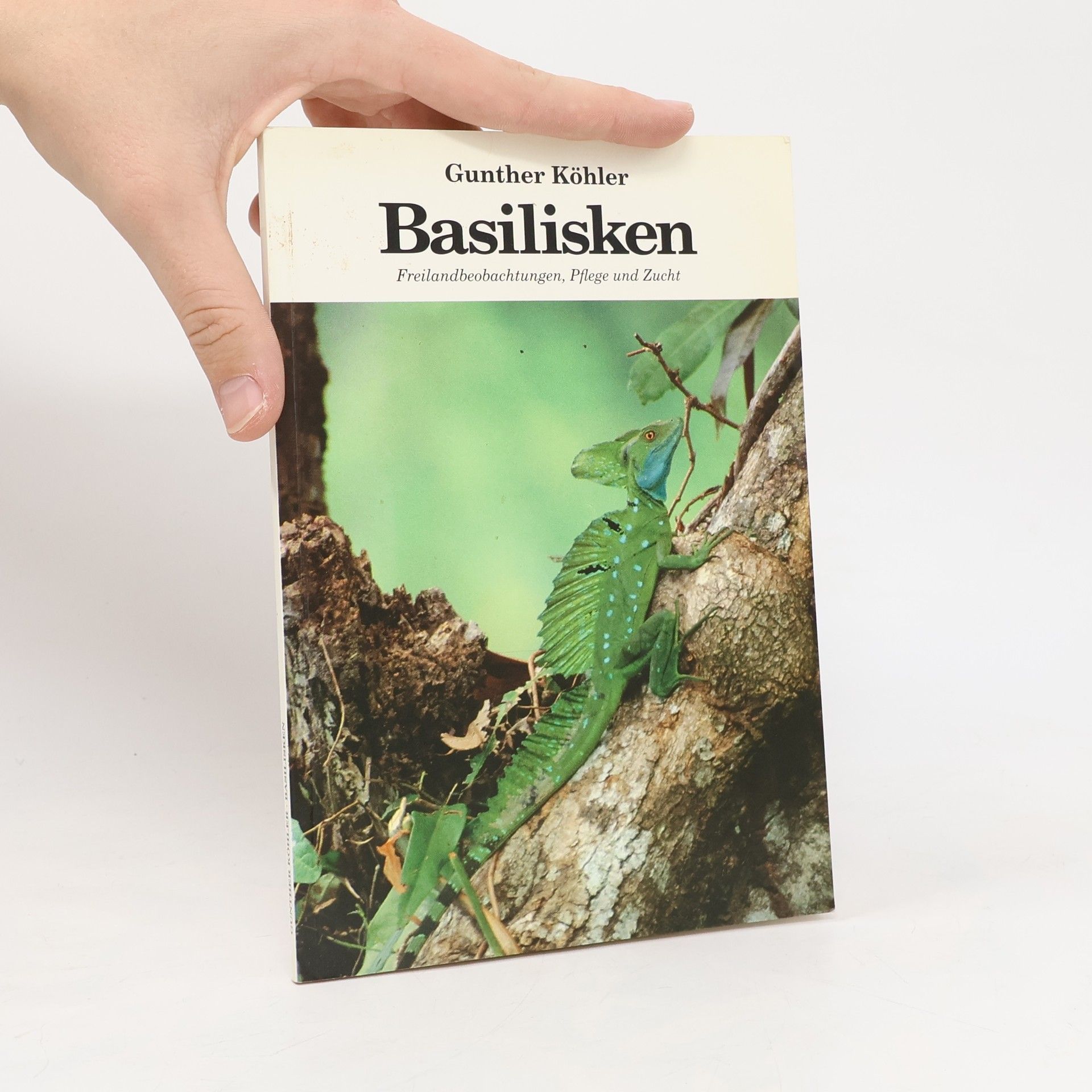 Gunther Köhler Basilisken