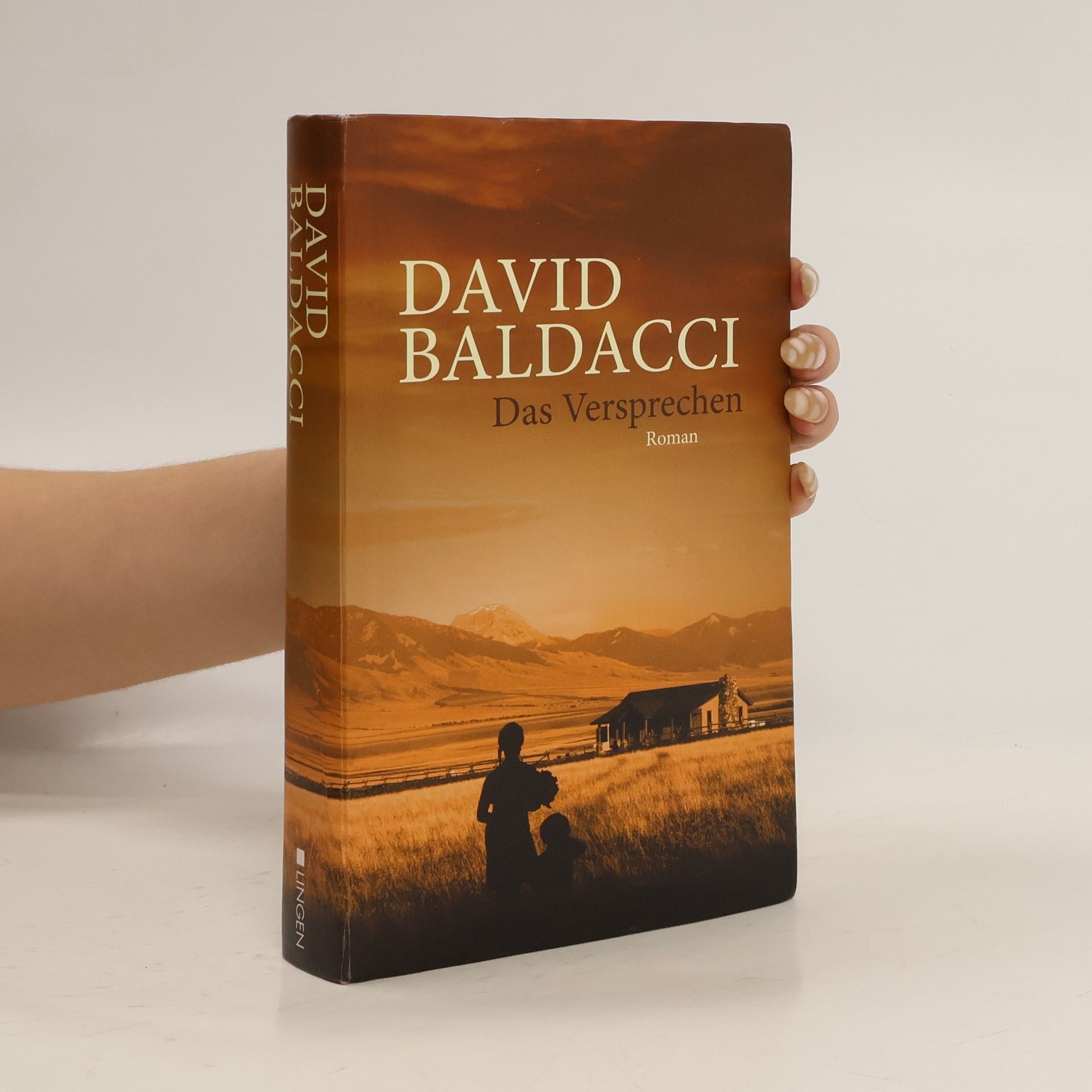 David Baldacci Das Versprechen