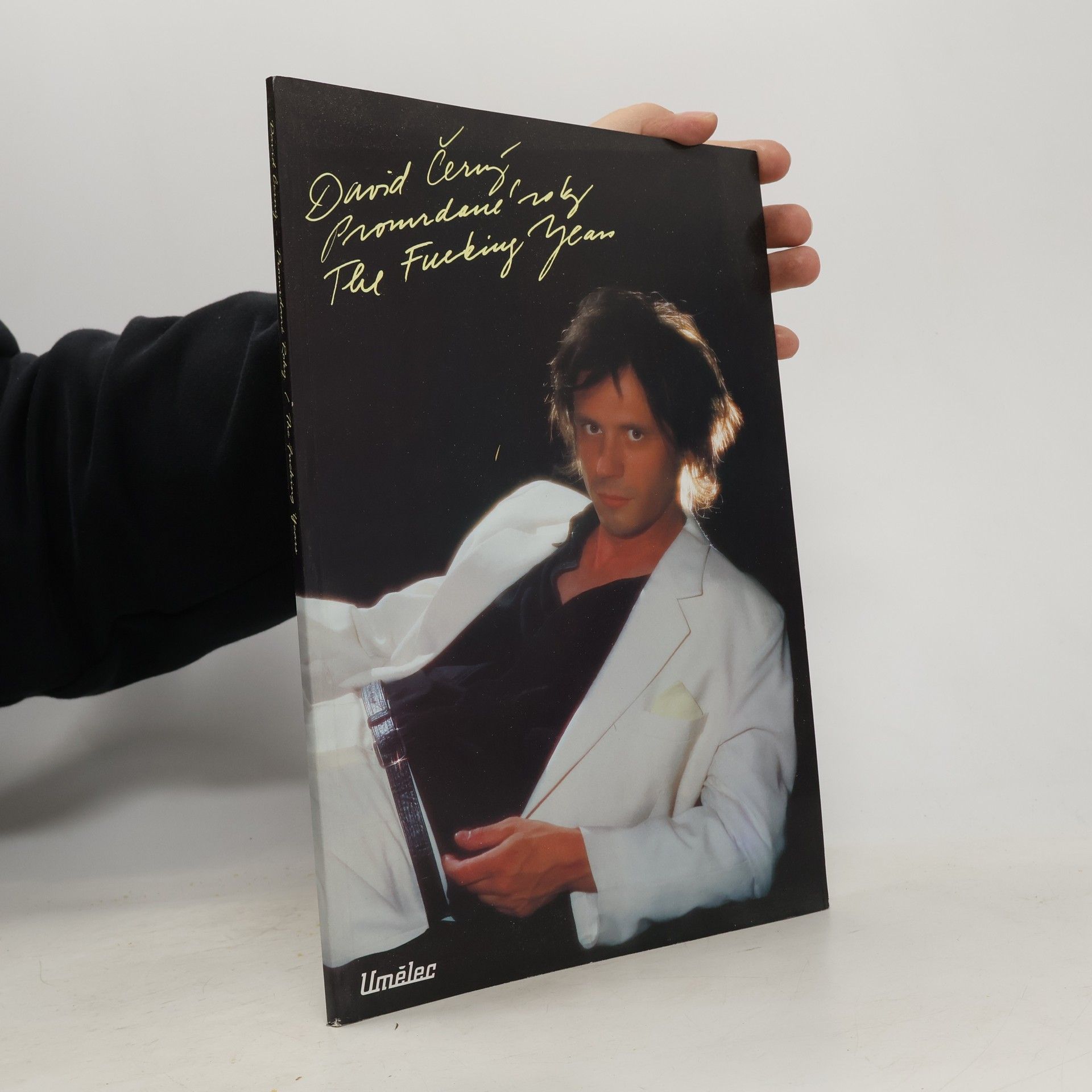 David Černý: Promrdané roky. Pravdivý příběh (Život a dílo umělce) = The Fucking Years. A True Story (The Life and Work of an Artist)