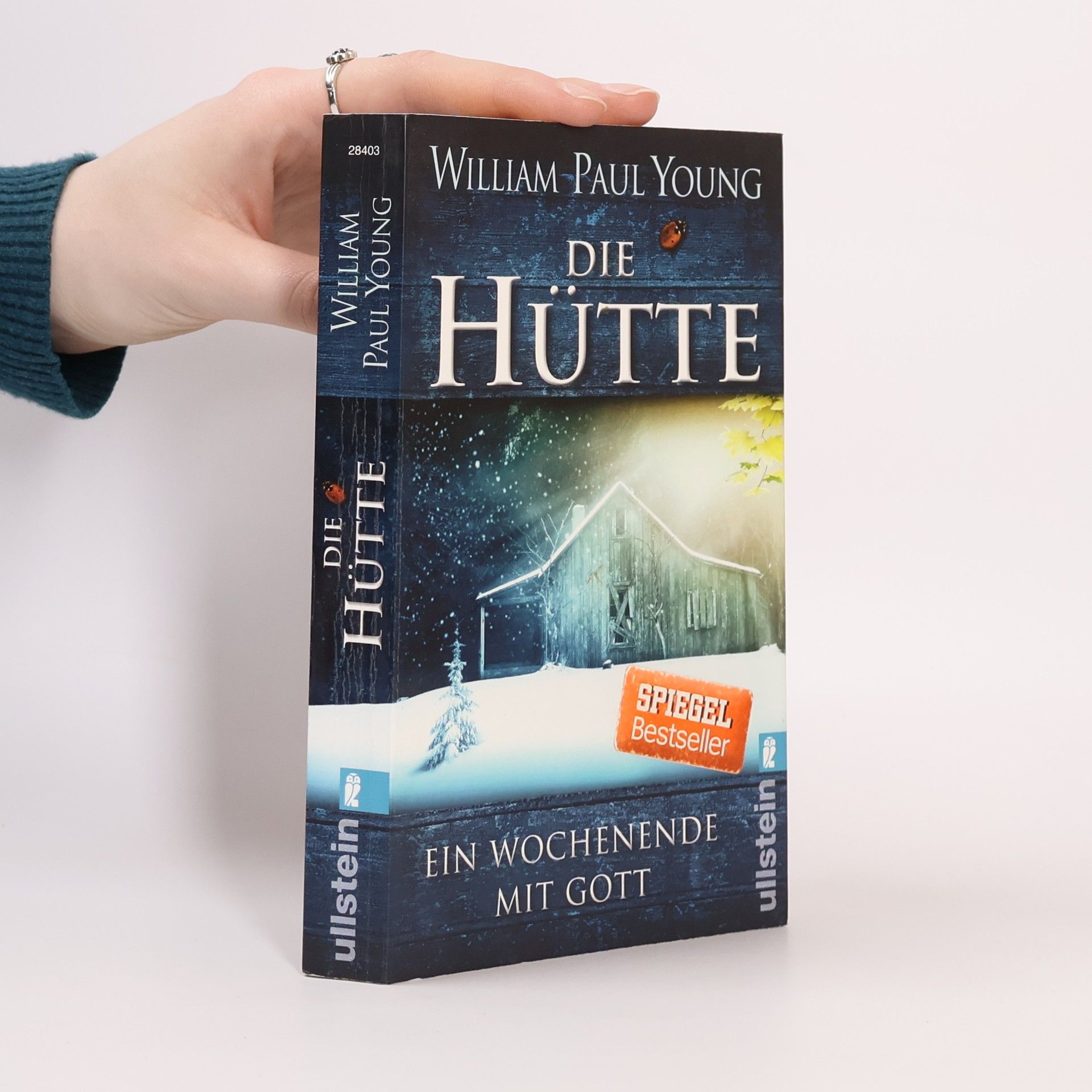 William P. Young Die Hütte