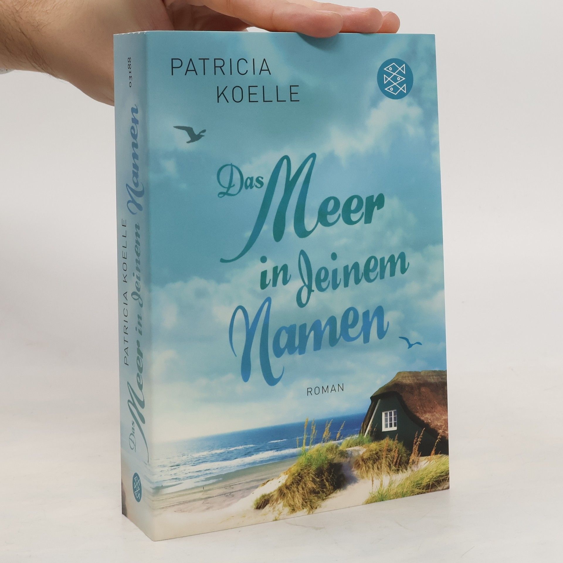 Patricia Koelle Das Meer in deinem Namen