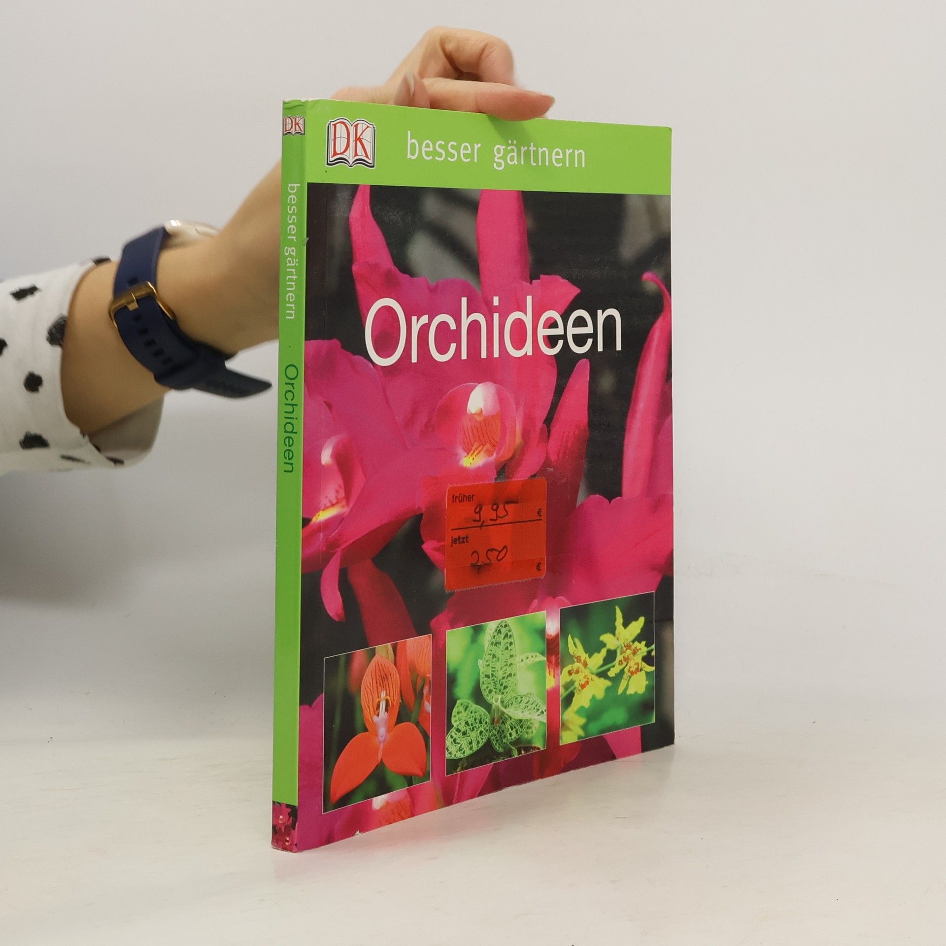 Liz Johnson Orchideen