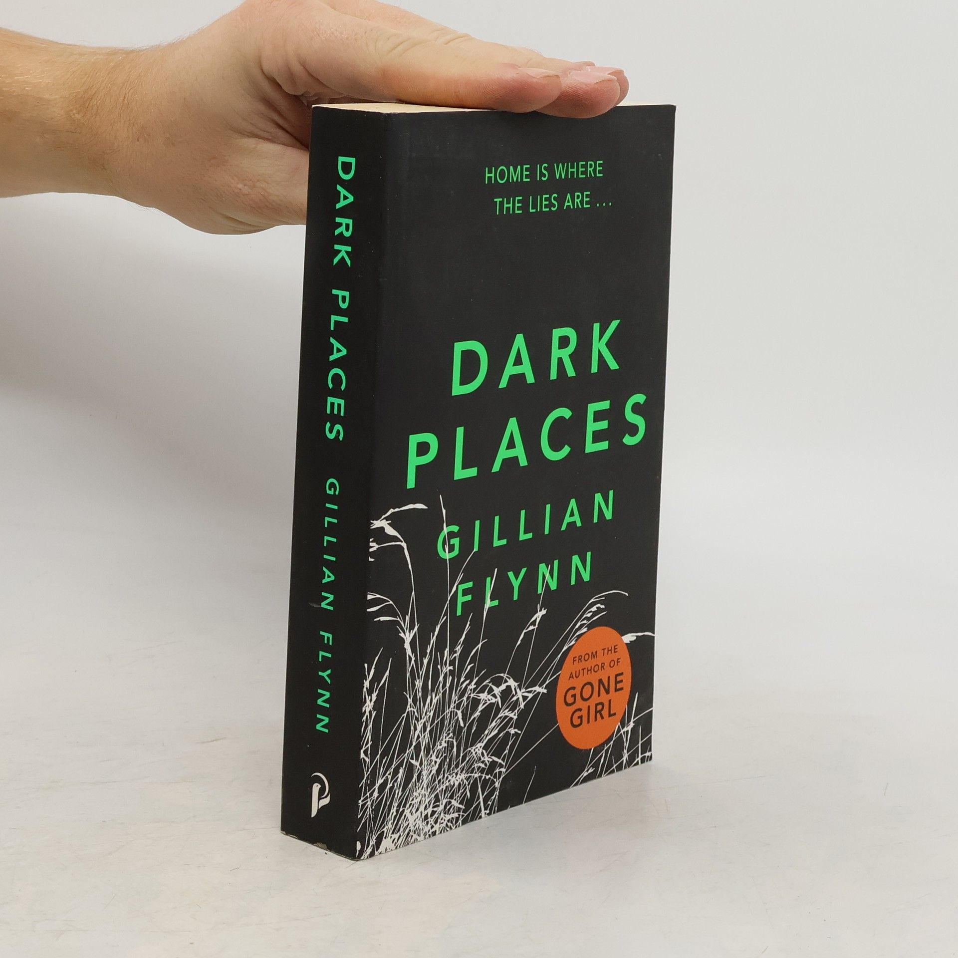 Gillian Flynn Dark Places